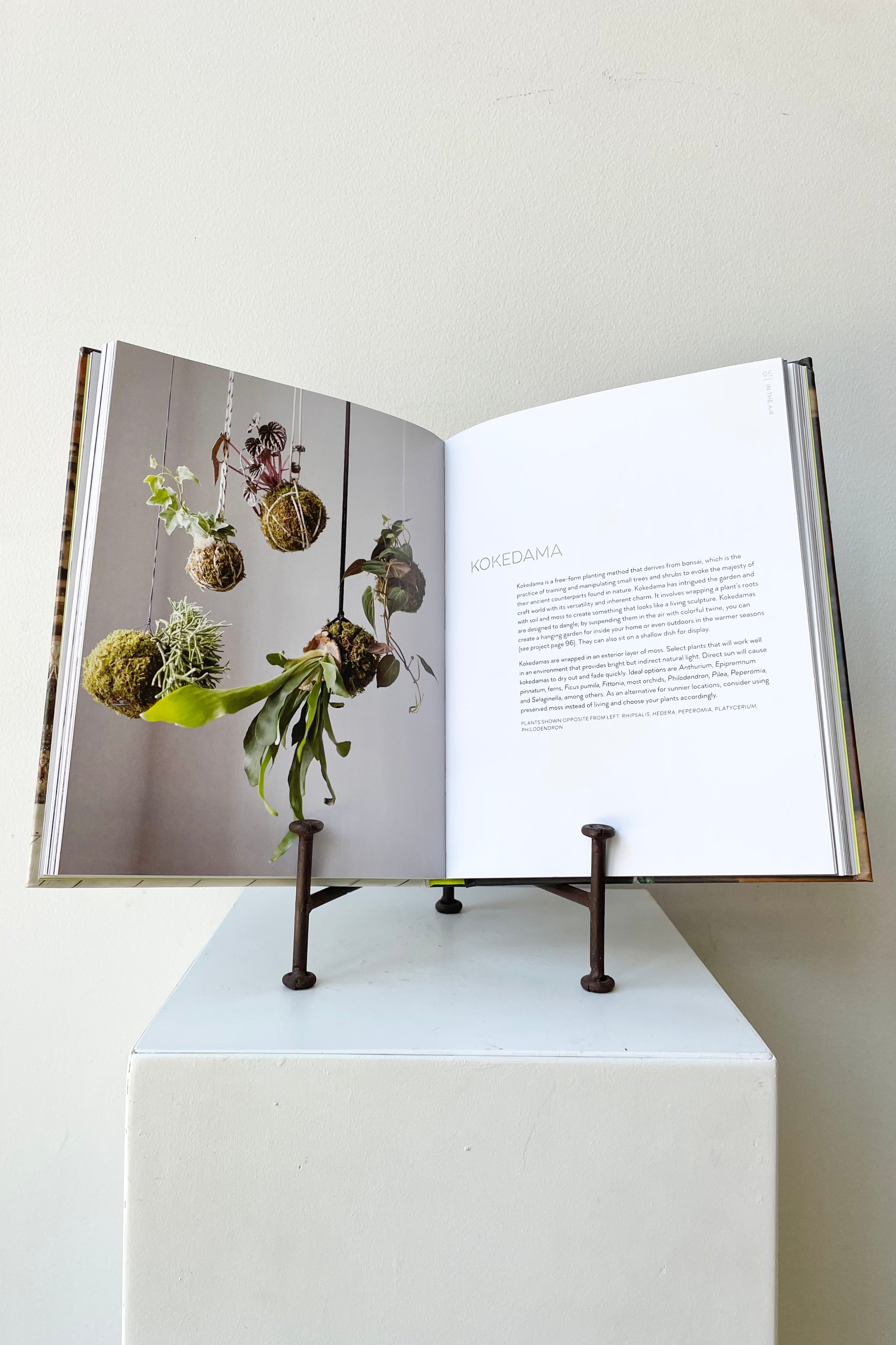 detail of The book "Rooted In Design" by Tara Heibel and Tassy de Give sits on a white surface in a white room.