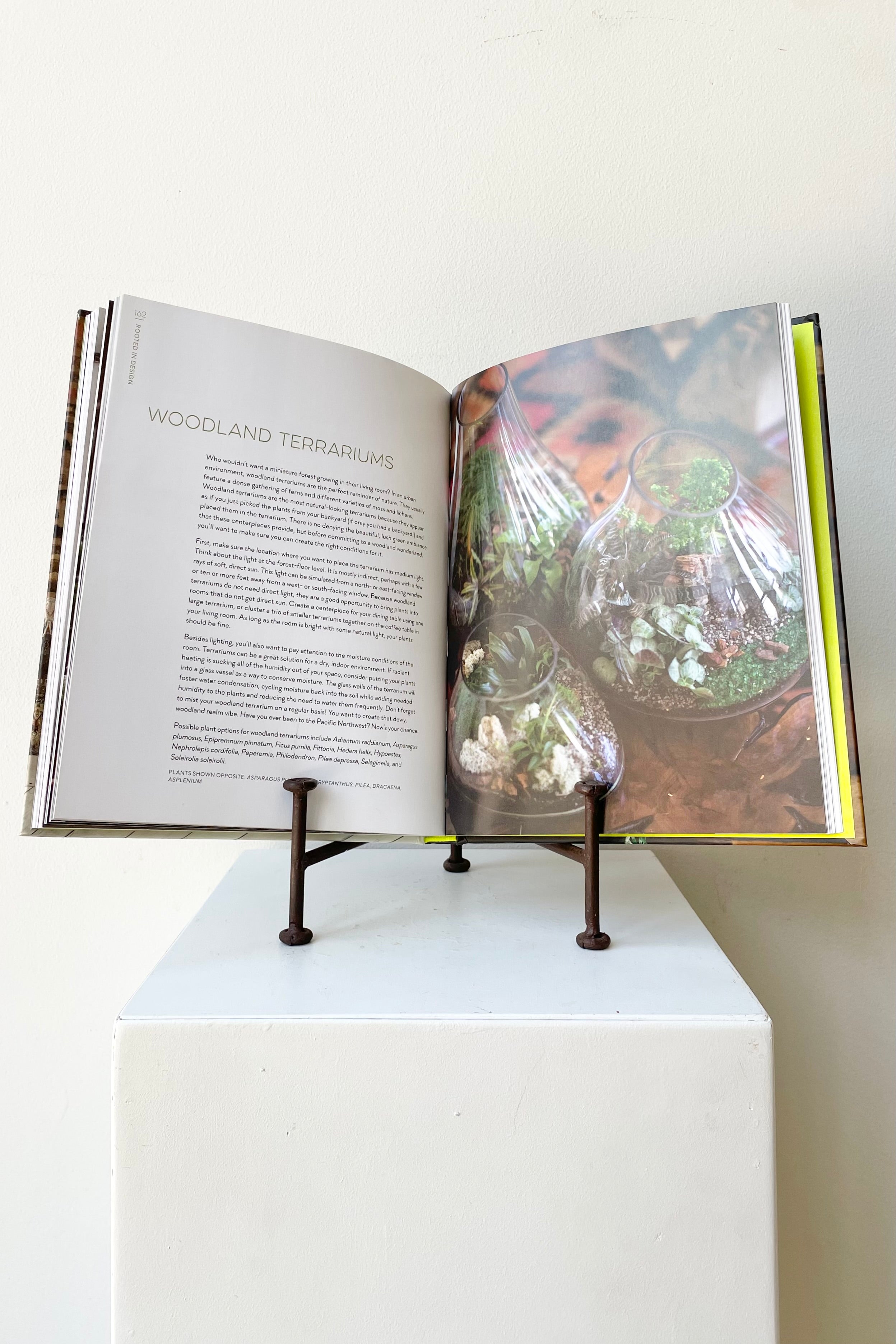 detail of The book "Rooted In Design" by Tara Heibel and Tassy de Give sits on a white surface in a white room.