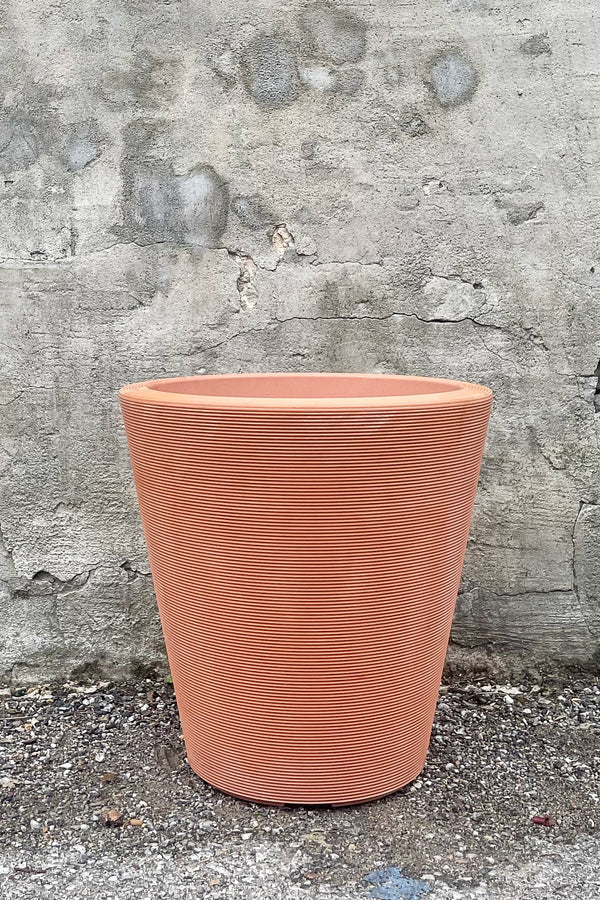Madison Weathered Terracotta Planter 16" by Crescent Trading in front of concrete wall