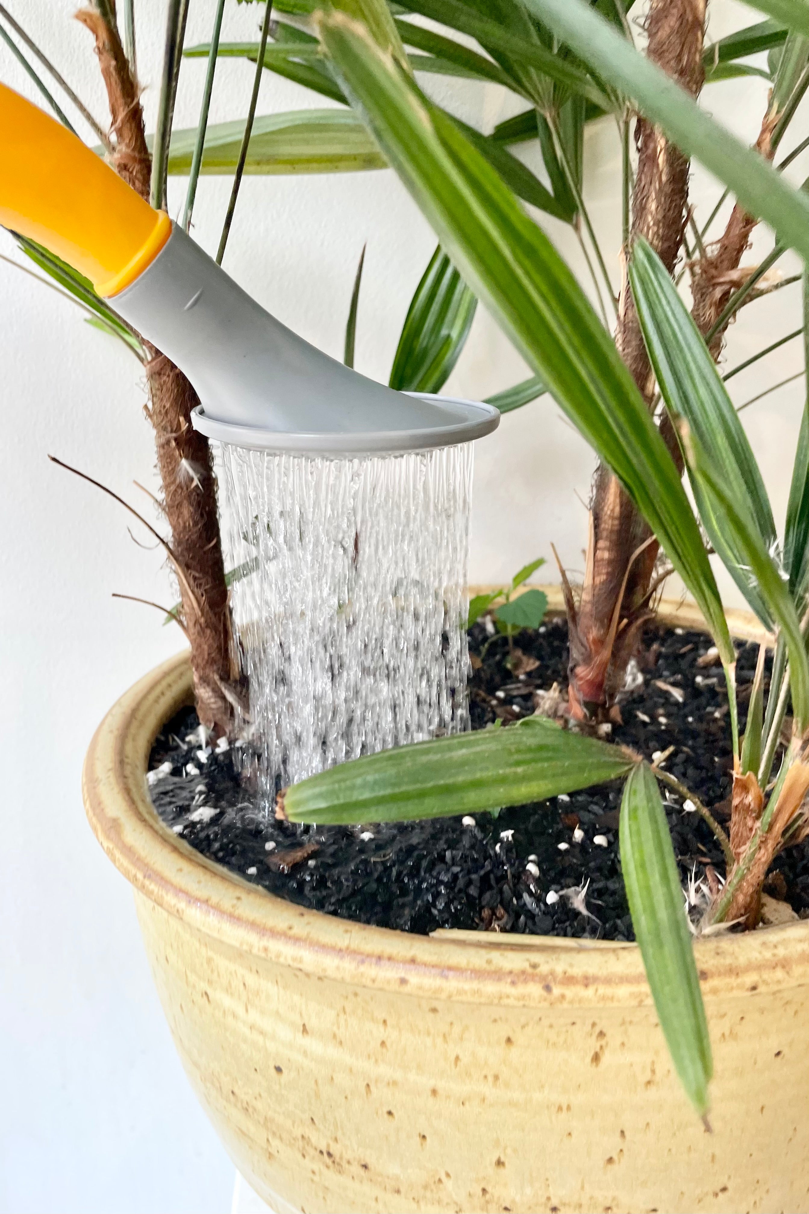 detail shot of the Energy Watering Can Mandarin XL watering a plant against a white wall