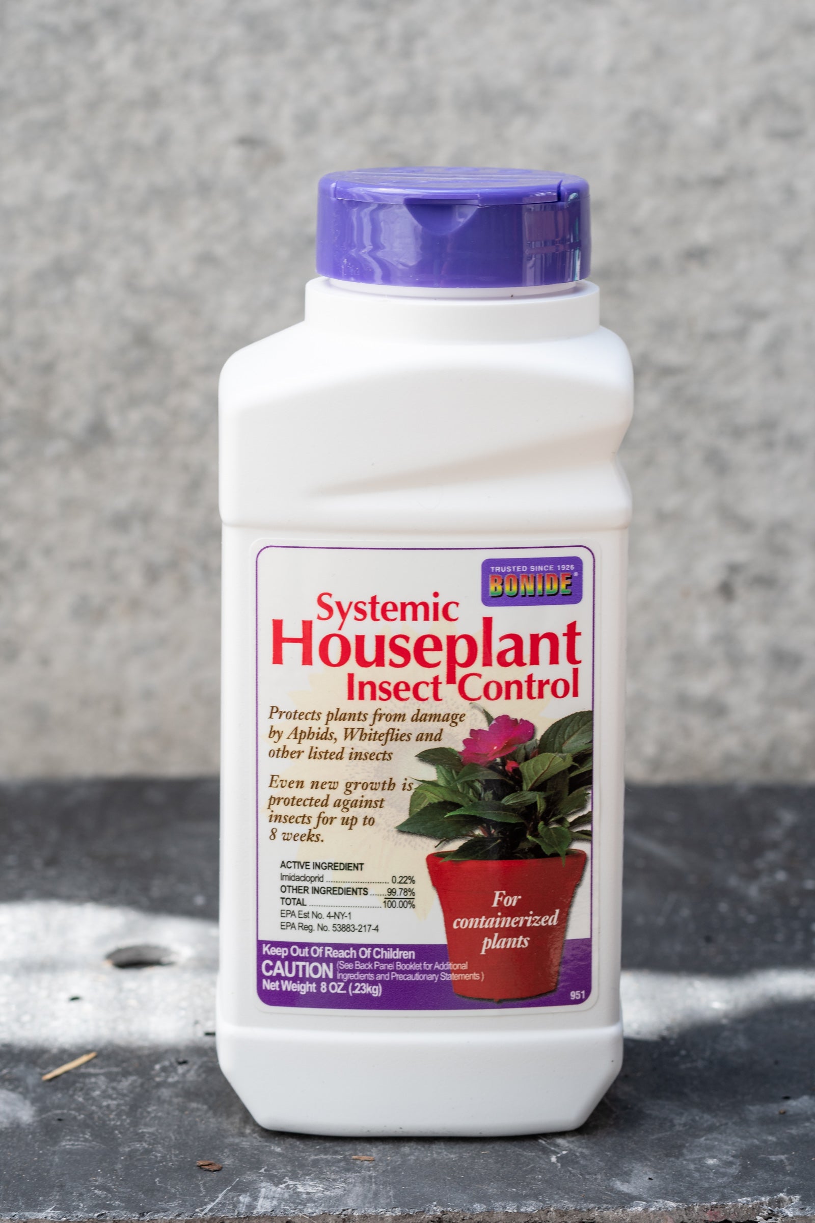 Bonide systemic houseplant granules shown in its 8oz container against a grey wall.