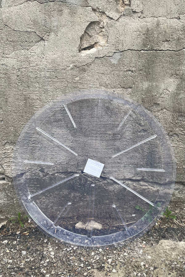 A full overhead view of Plastic saucer 16" against concrete backdrop