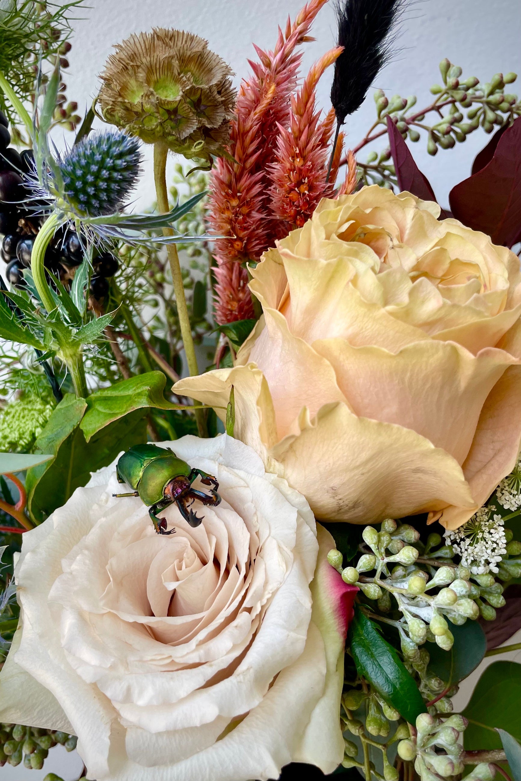 Betelgeuse arrangement with shades of gray and hints of dark foliage and white flowers with a beetle on one of the roses designed by Sprout Home. ©Sprout Home #size_$100