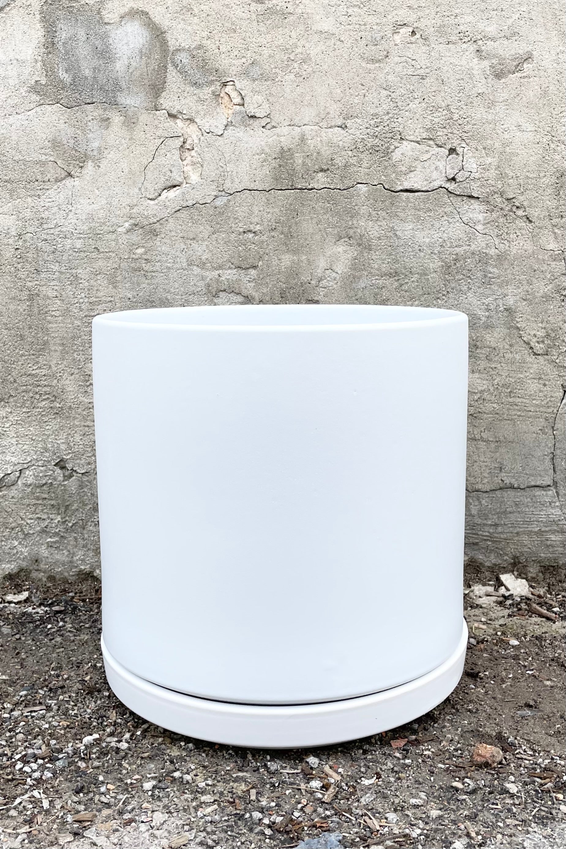 The 12" solid cylinder and saucer in white against a cement wall.