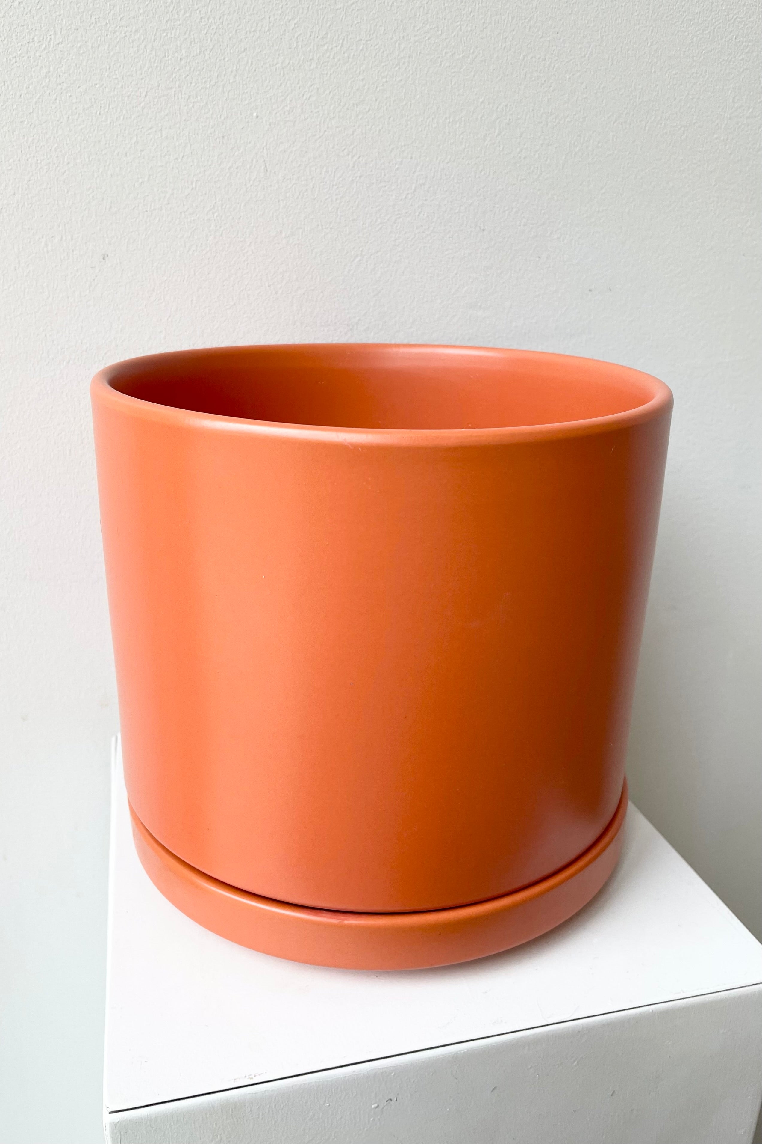 Detail of the Solid Cylinder & Saucer rust 8” against a white wall