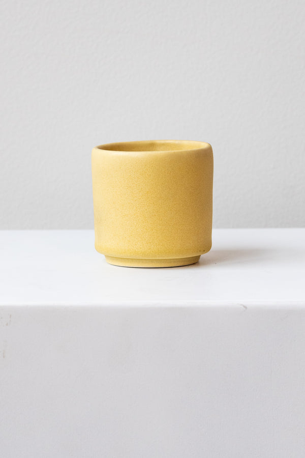 A small yellow cup planter sits on a white surface in a white room. It is photographed straight on.