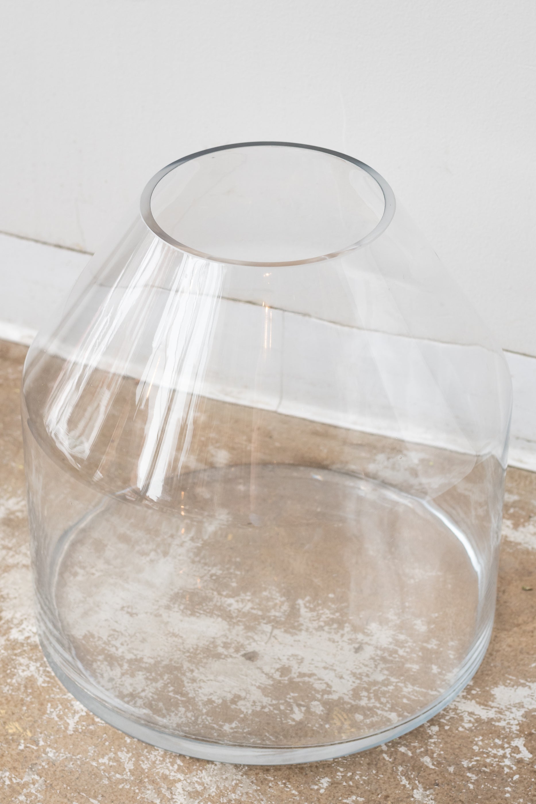 Large glass silo terrarium vessel against white background
