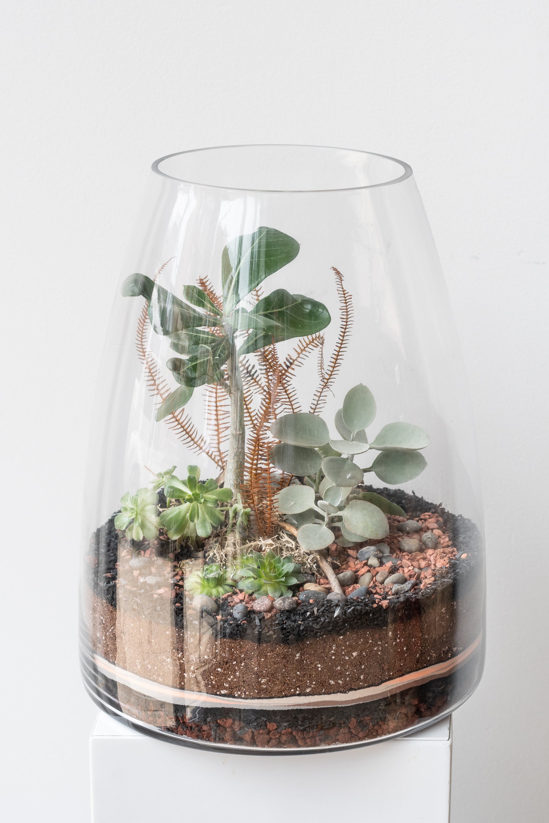 planted terrarium Silo Planted Terrarium
