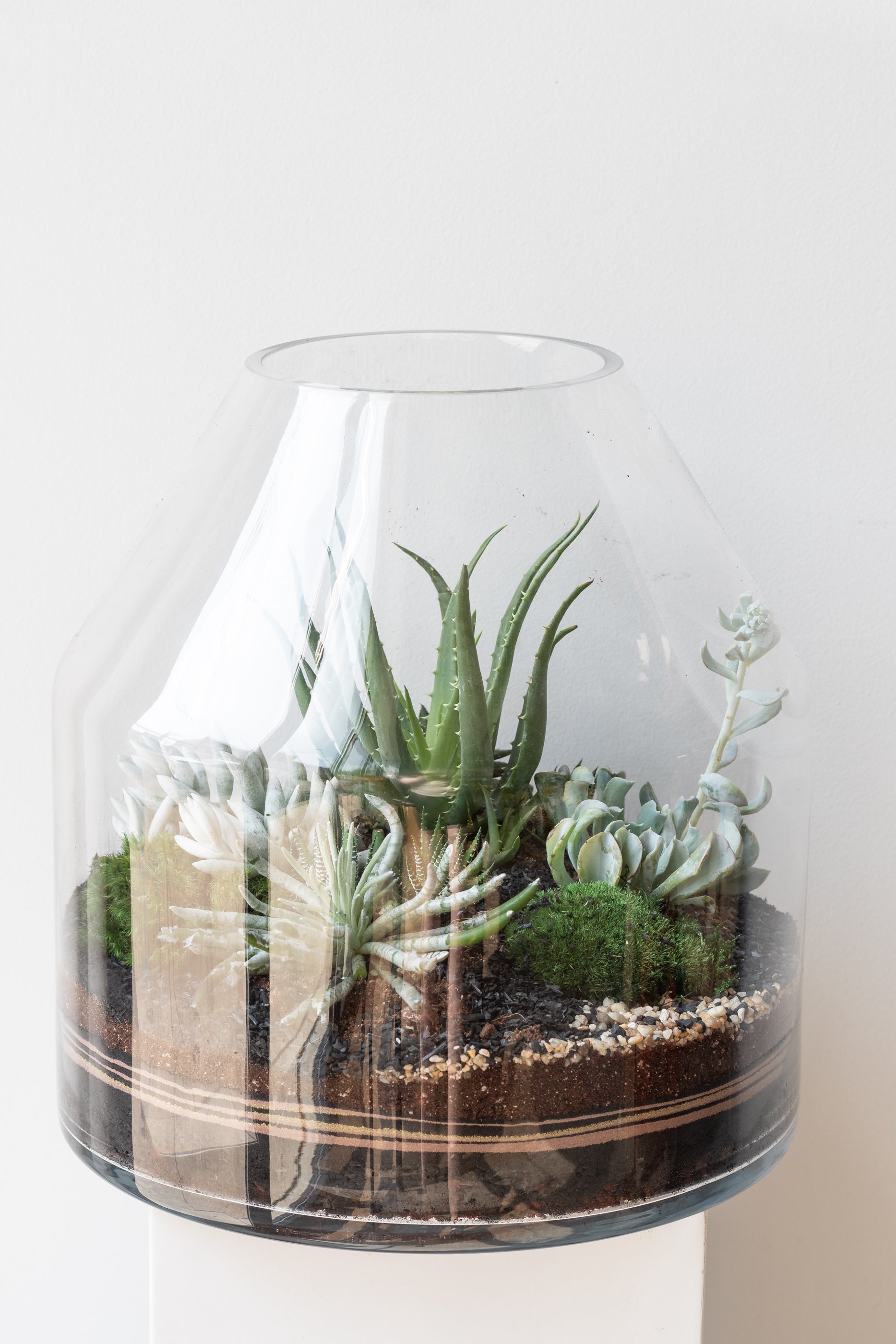 Silo Planted Terrarium