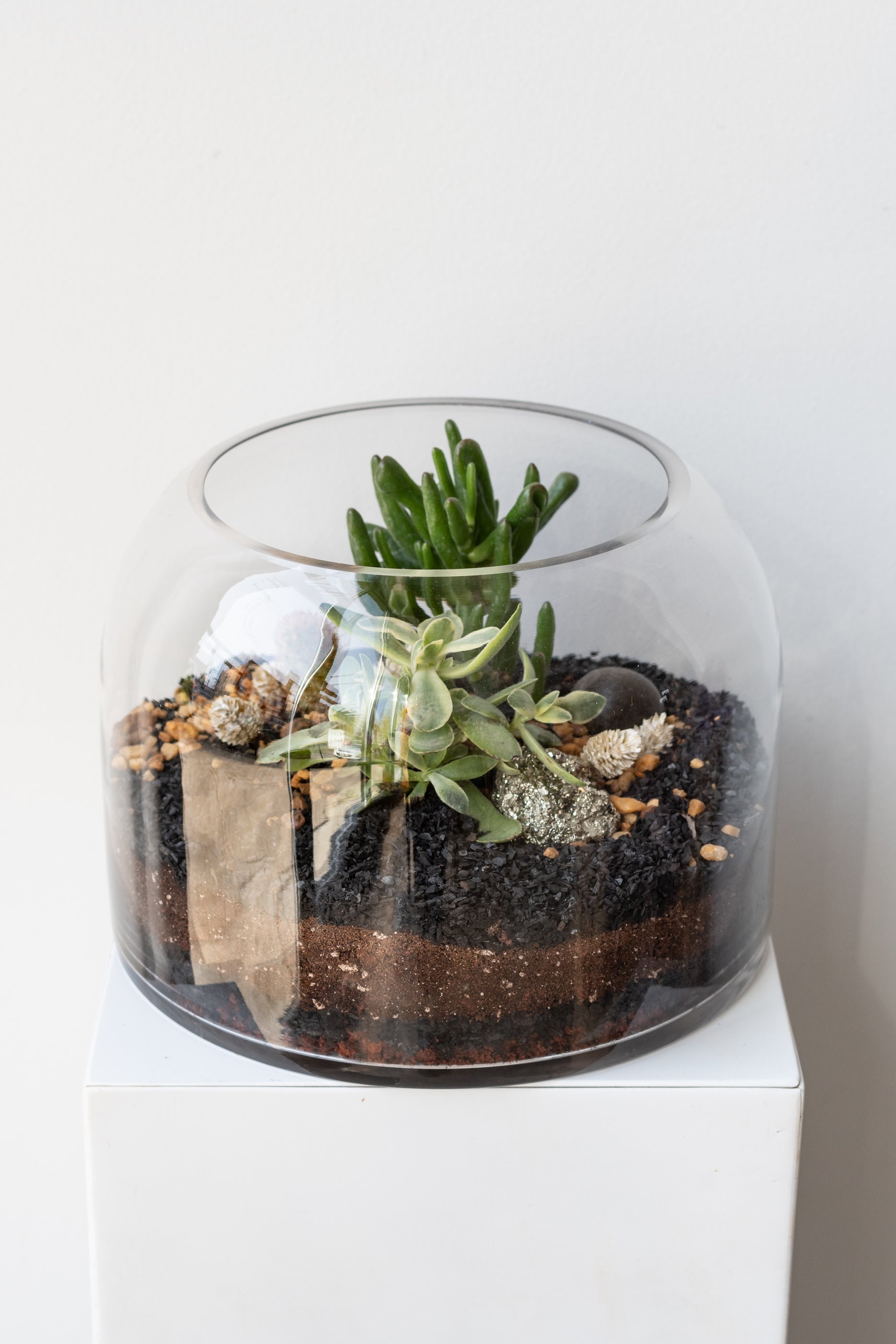 Sprout Home Dome Planted Terrarium Short