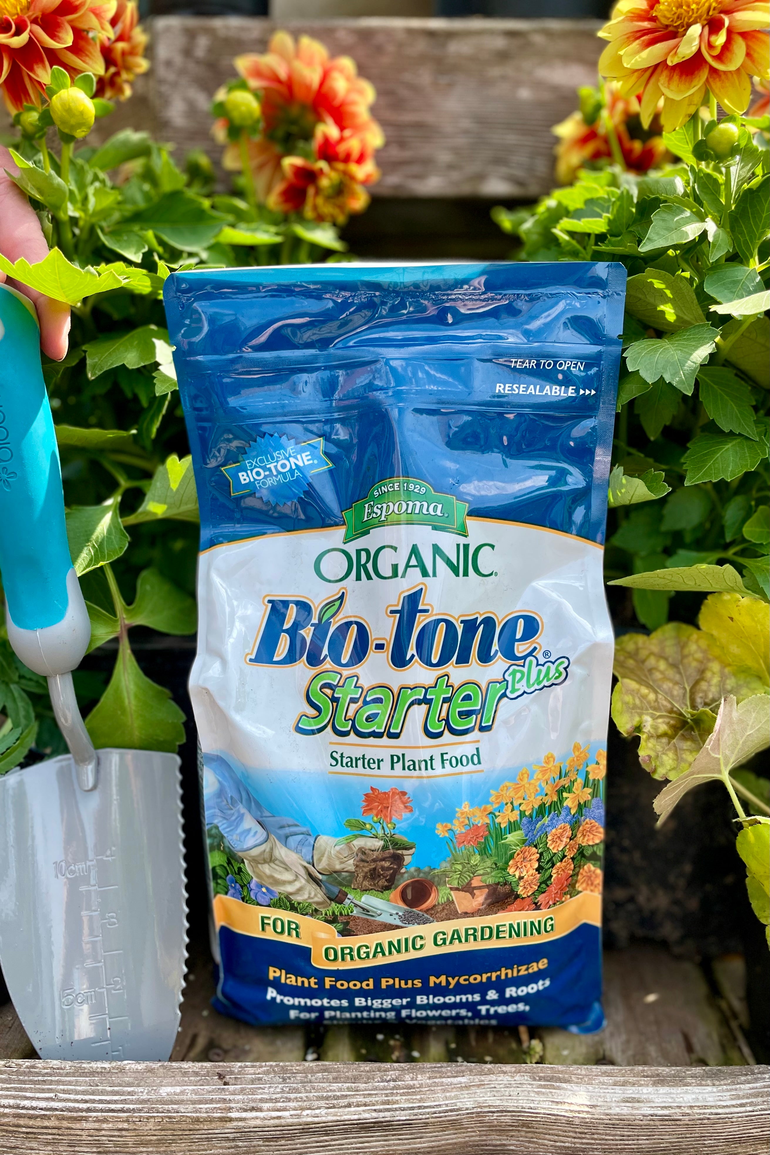 detail of Espoma organic Bio-Tone Starter Plus 4lb with the sprout home garden int eh background with flowers and a hand shovel