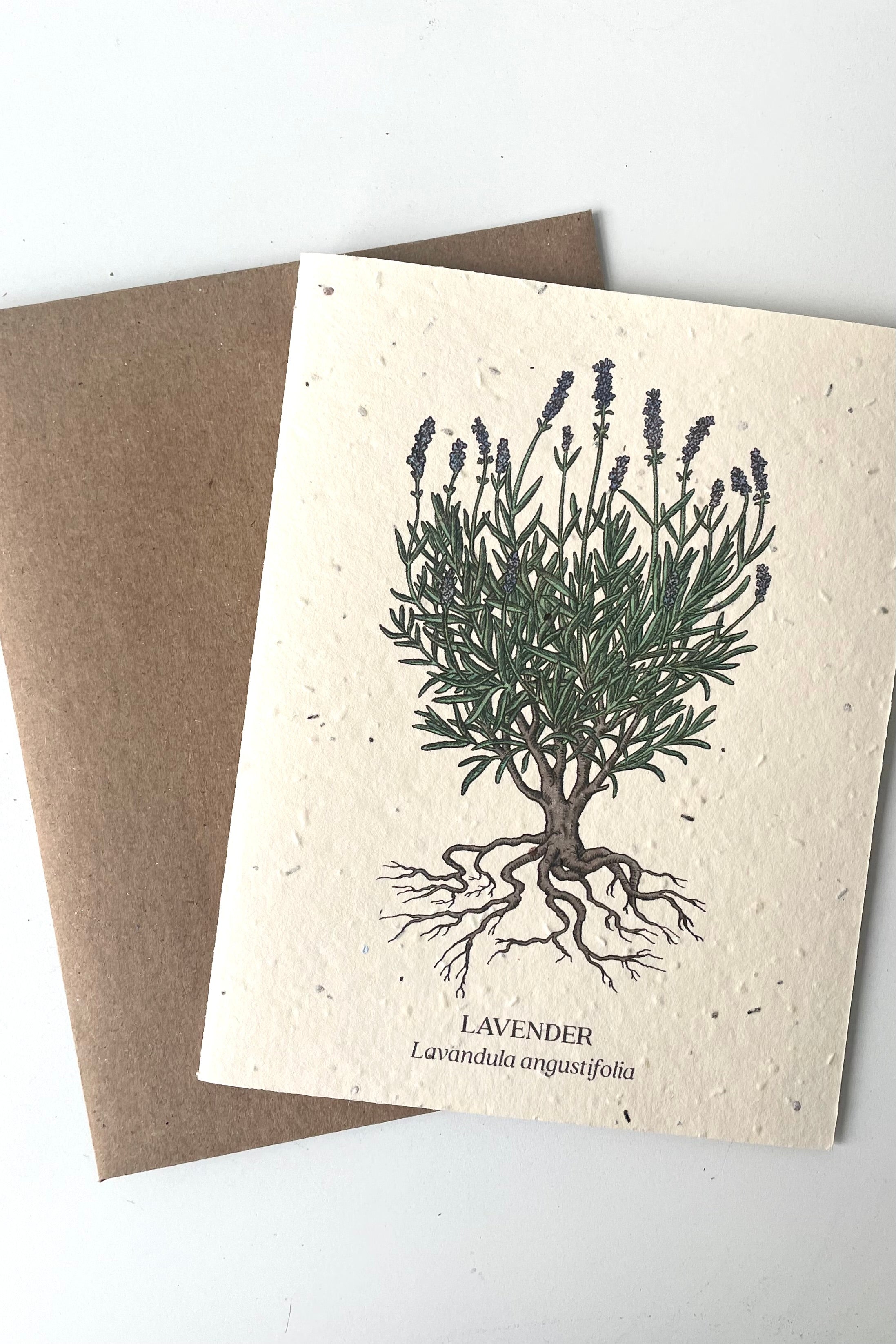An overhead view of Lavender Seeded Paper Card and brown Kraft envelope