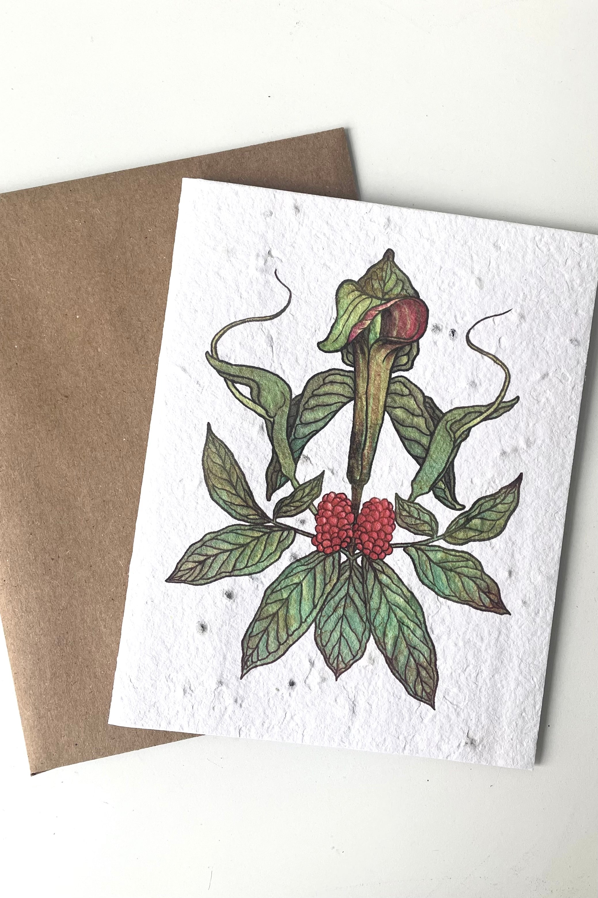 An overhead view of Jack-in-the-Pulpit seeded paper card with brown Kraft envelope