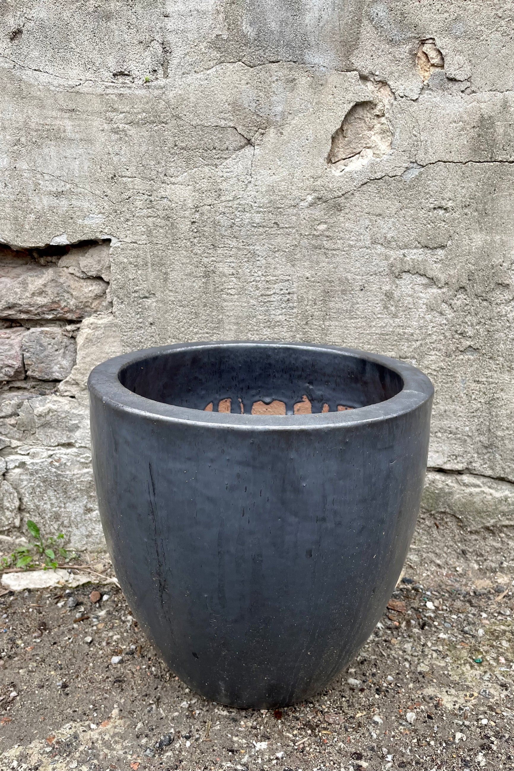 Egg Ceramic Planter Graphite Medium against a grey wall ©Sprout Home