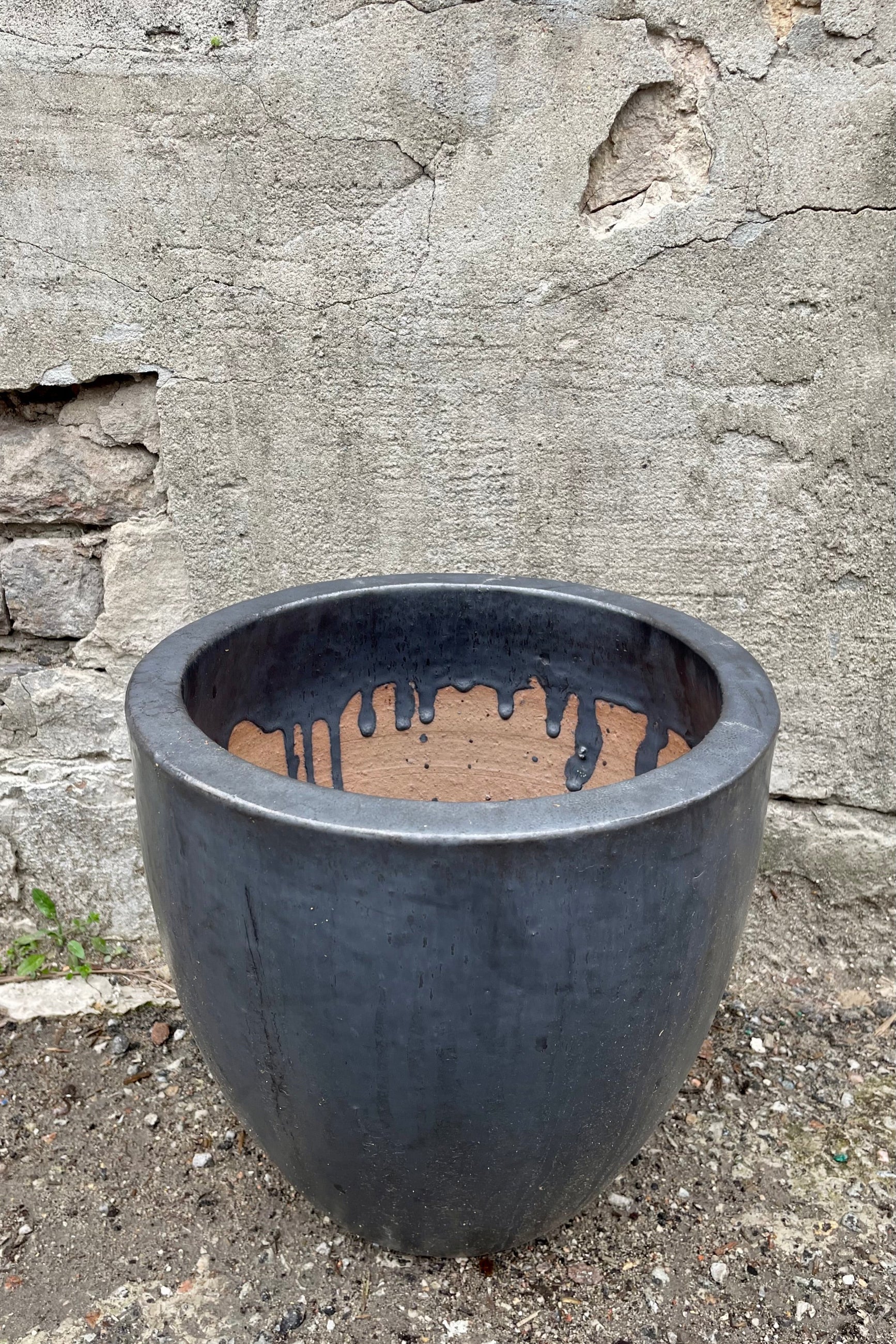 detail of the top of the Egg Ceramic Planter Graphite Medium against a grey wall ©Sprout Home