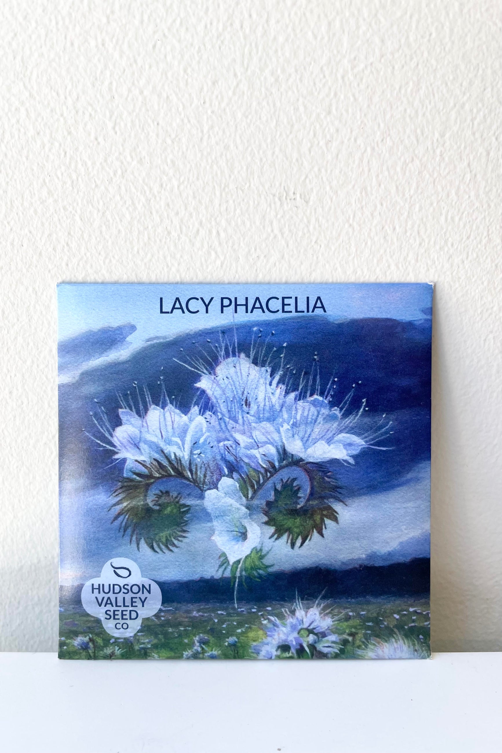 A detailed look at the Lacy Phacelia Seeds Art Pack ©Sprout Home