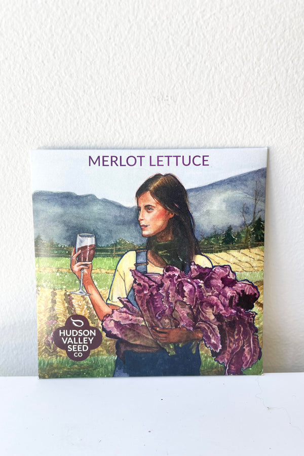 A detailed look at the packaging of the Merlot Lettuce Seeds Art Pack..