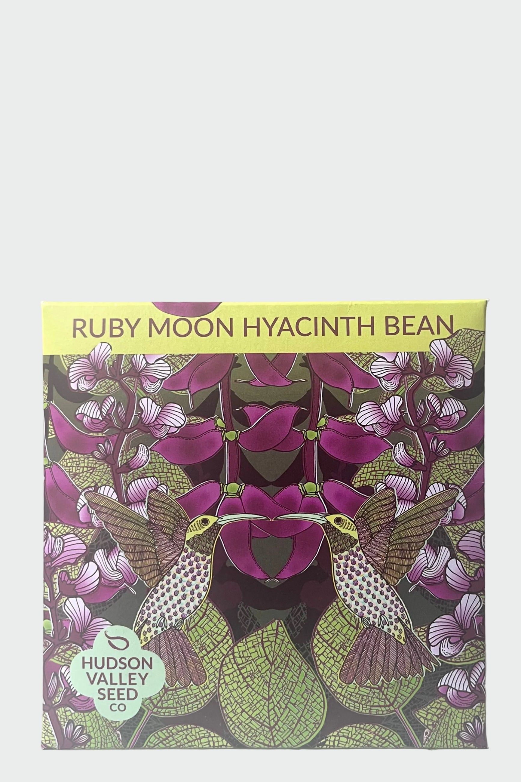 A front view of Ruby Moon Hyacinth Bean Seeds Art Park against white backdrop ©Sprout Home