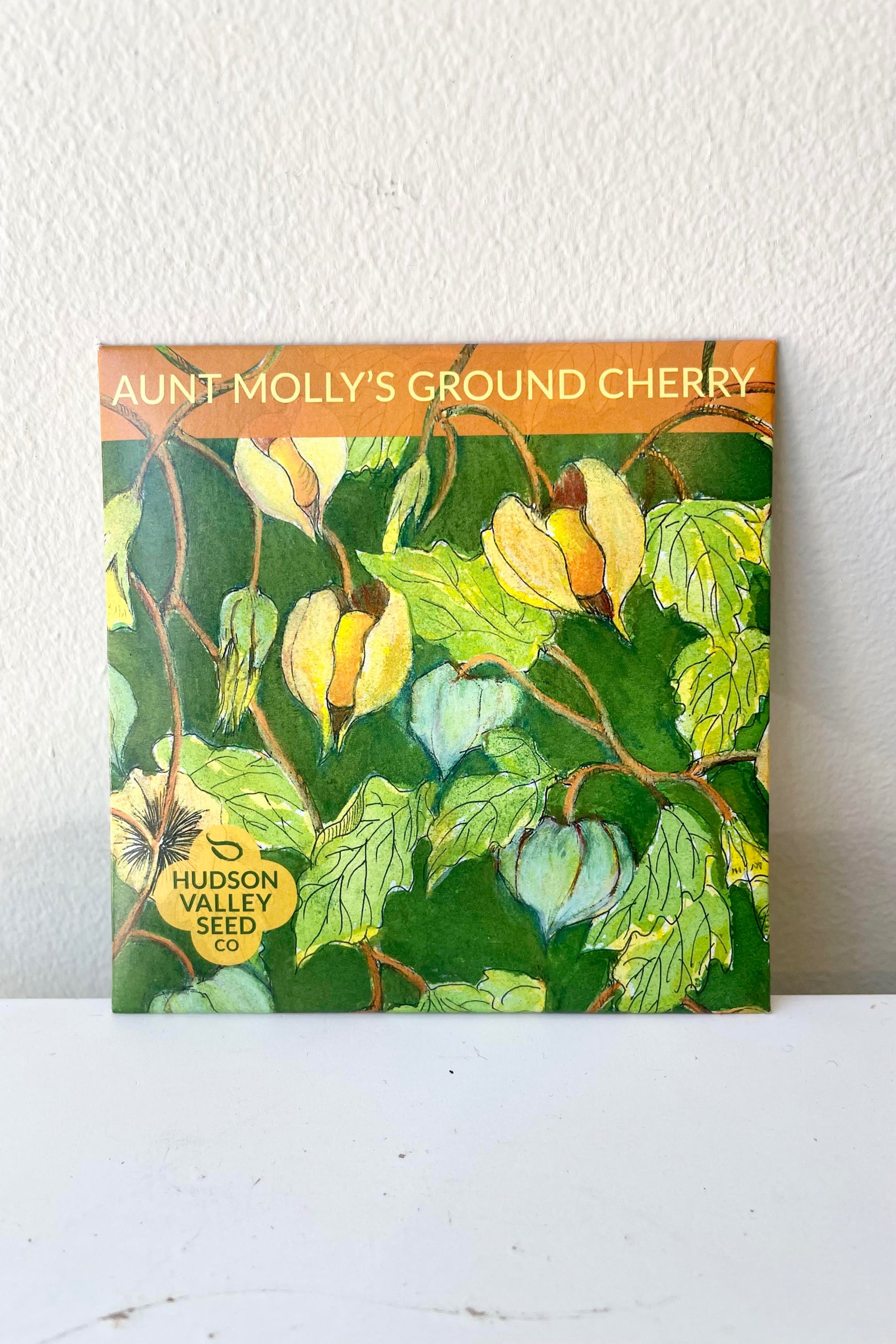 A look at the packaging of Aunt Molly's Ground Cherry Seeds Art Pack ©Sprout Home