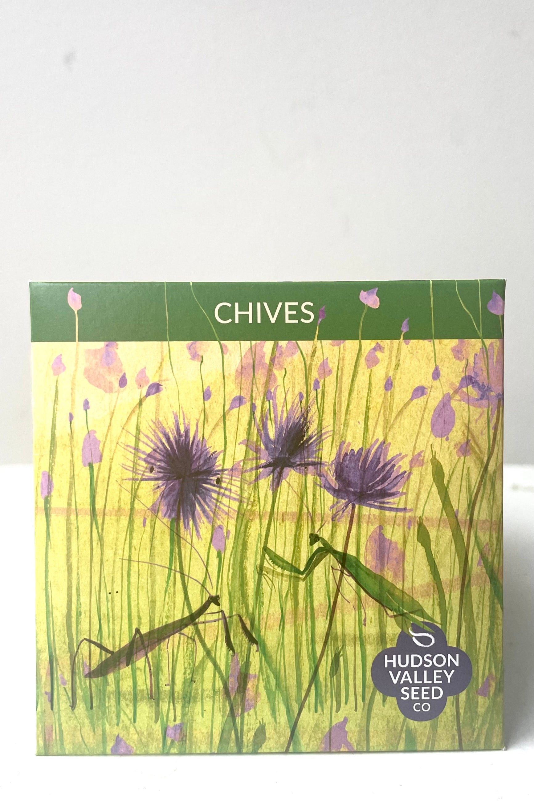 A front view of Chive Seeds Art Pack against white backdrop ©Sprout Home