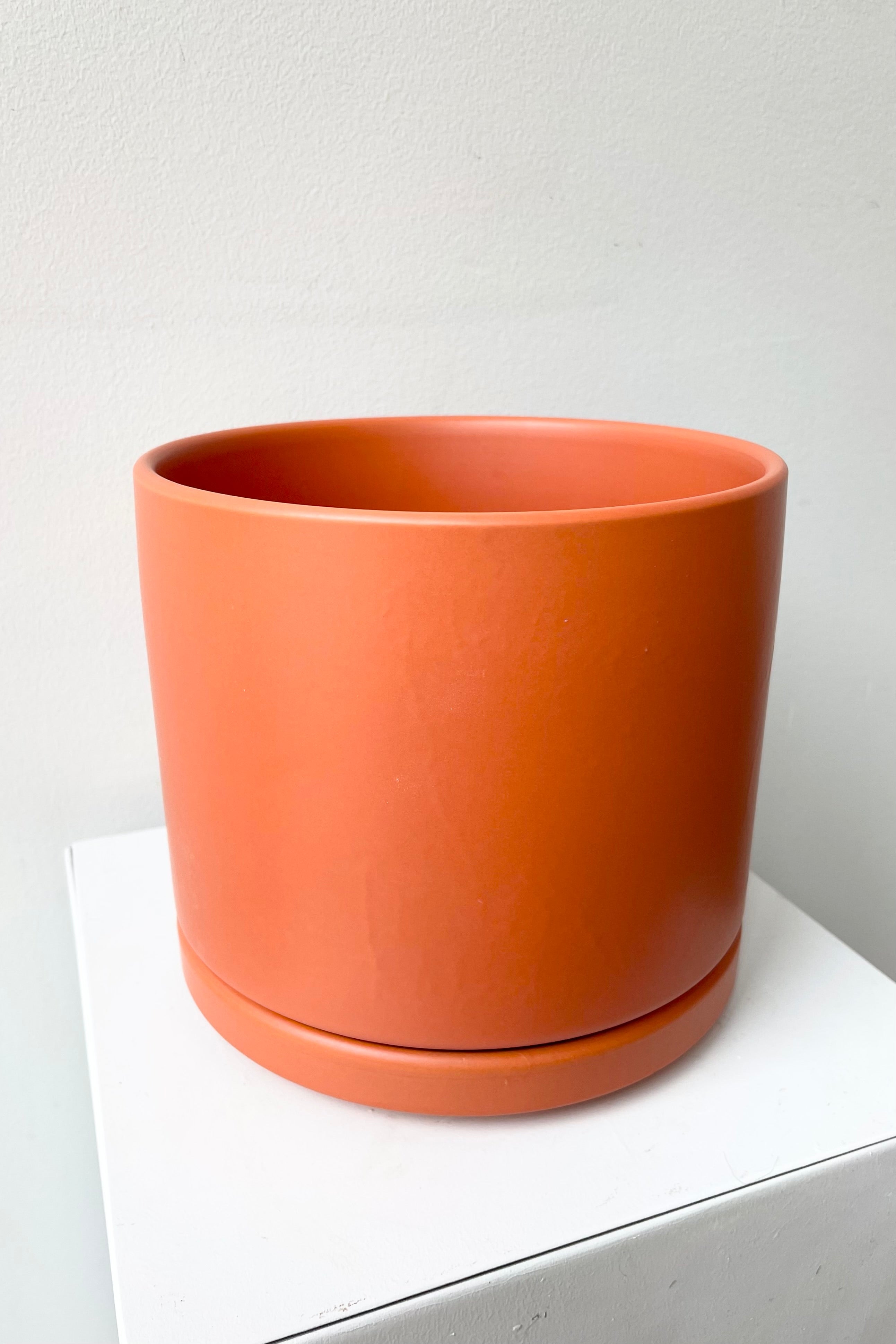 Detail of the top of Solid Cylinder & Saucer rust 6” against a white wall
