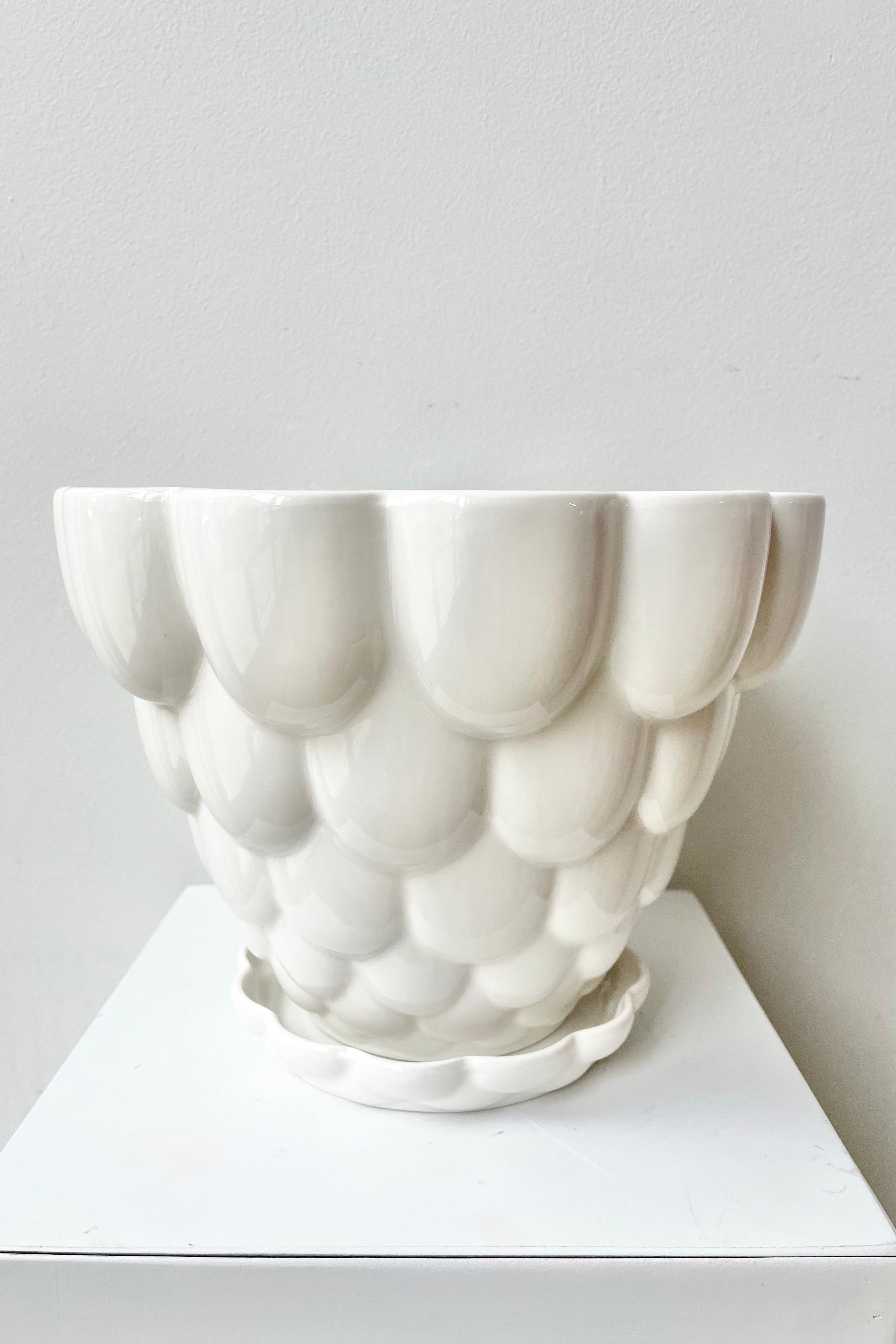 White Jelly Planter against a white wall.