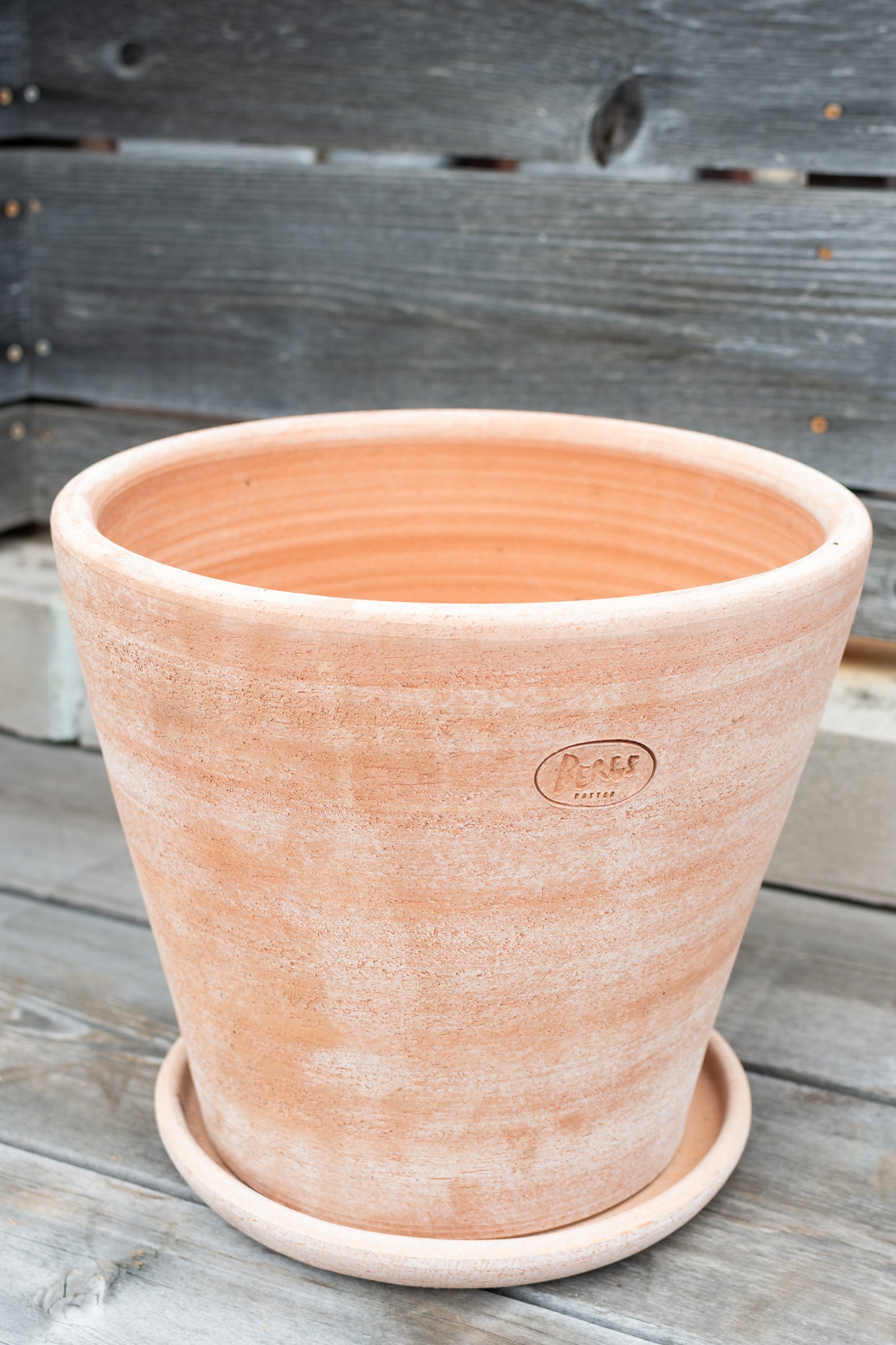 Julie Pot & Saucer Rosa 13.8”