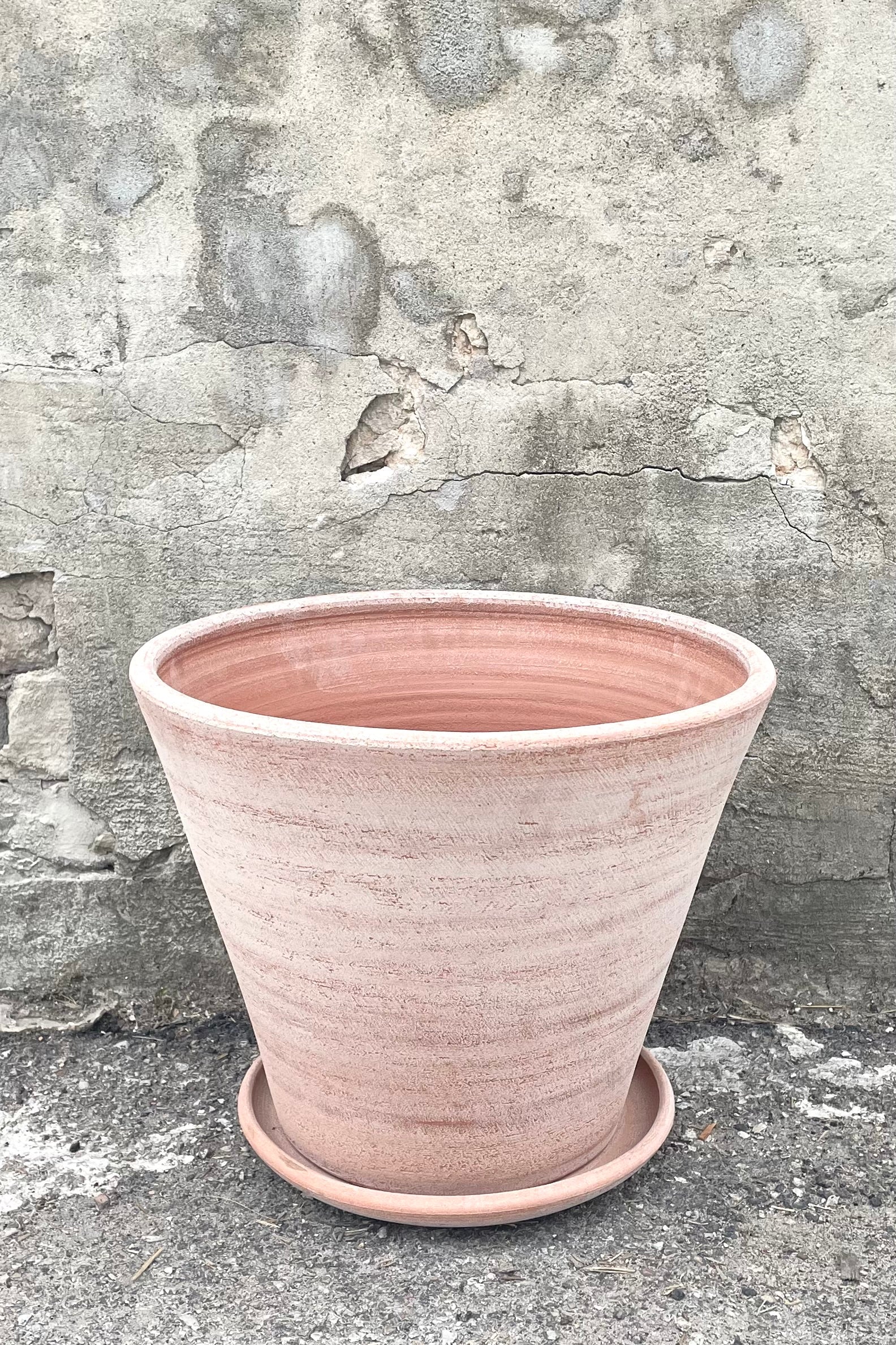 A full frontal view of Julie Pot & Saucer rosa 17.7" against concrete backdrop