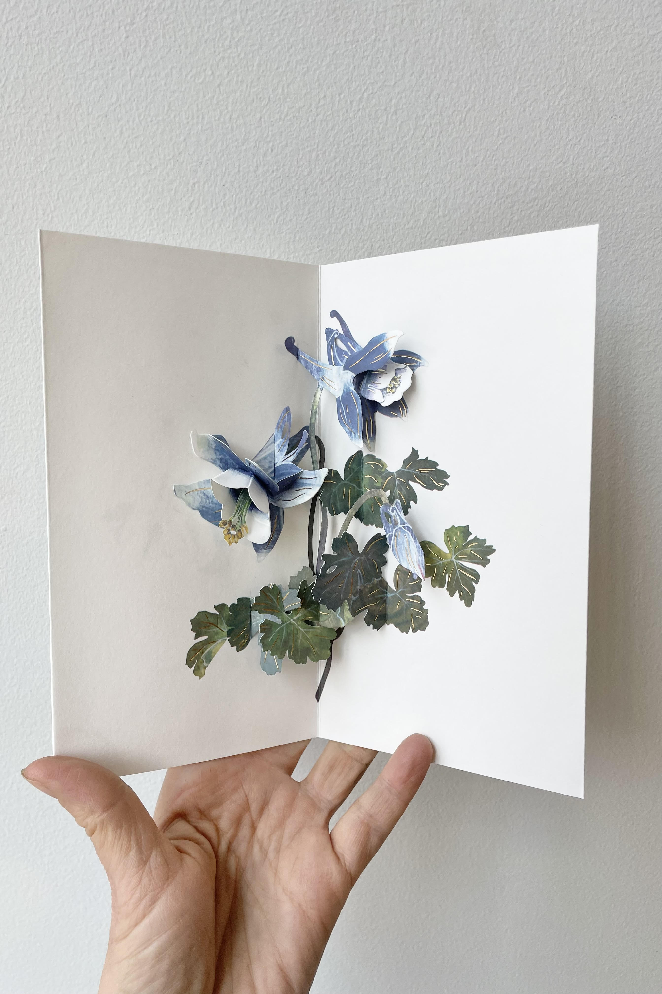 A hand holds the Columbine Pop-up Card open.