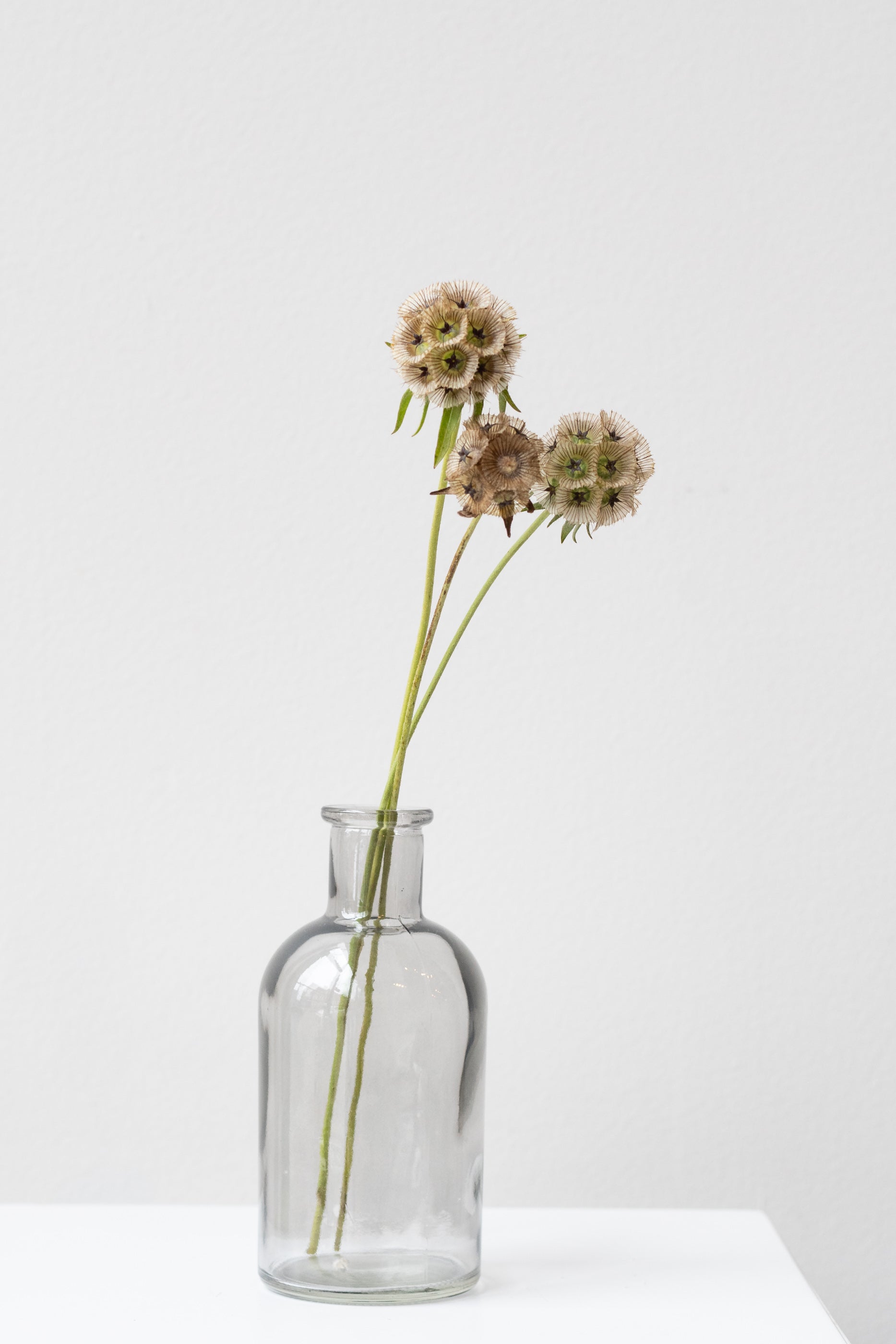 Grey medicine glass bud vase in front of white background