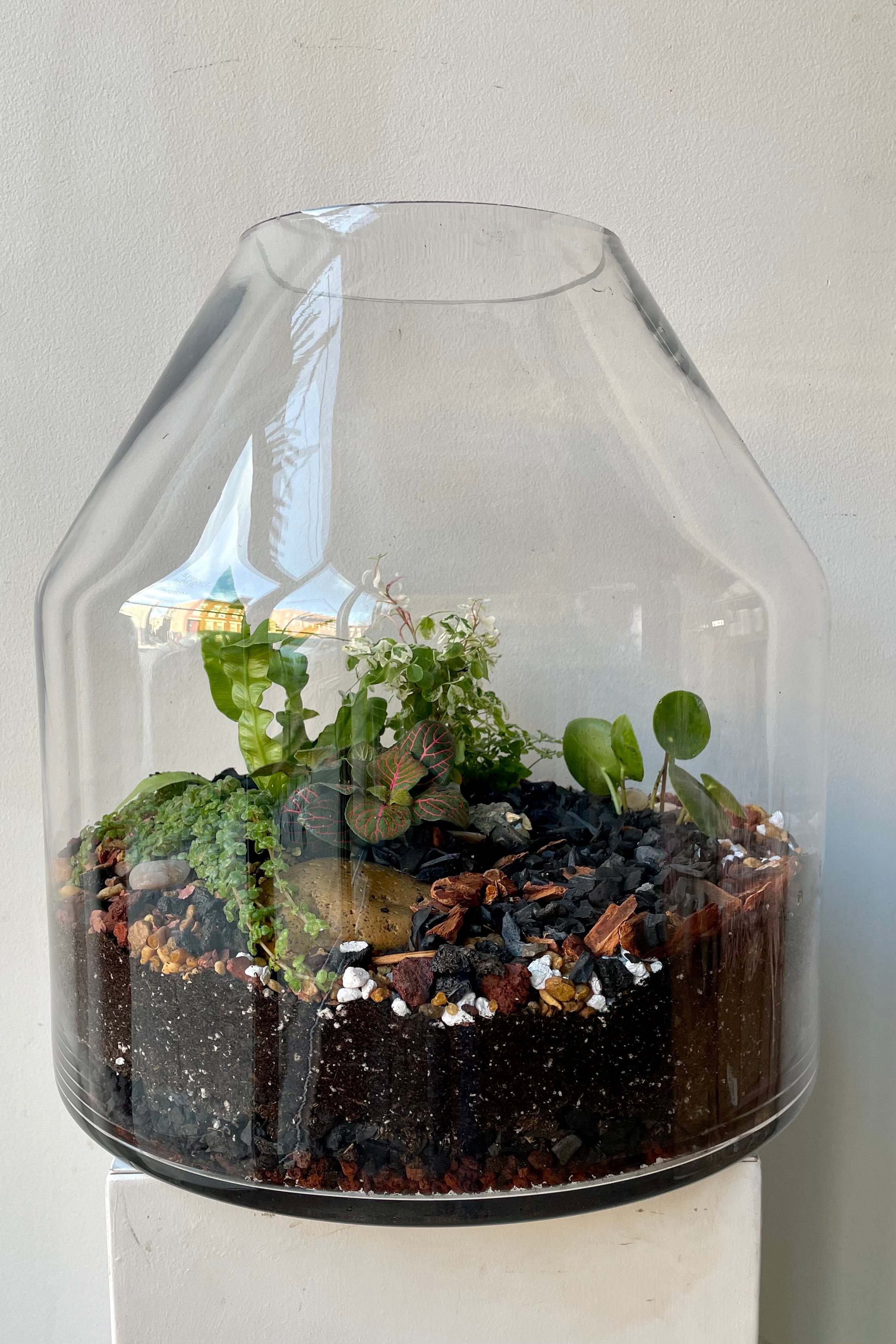 Sprout Home planted Silo terrarium with various textures of foliage. #style_foliage