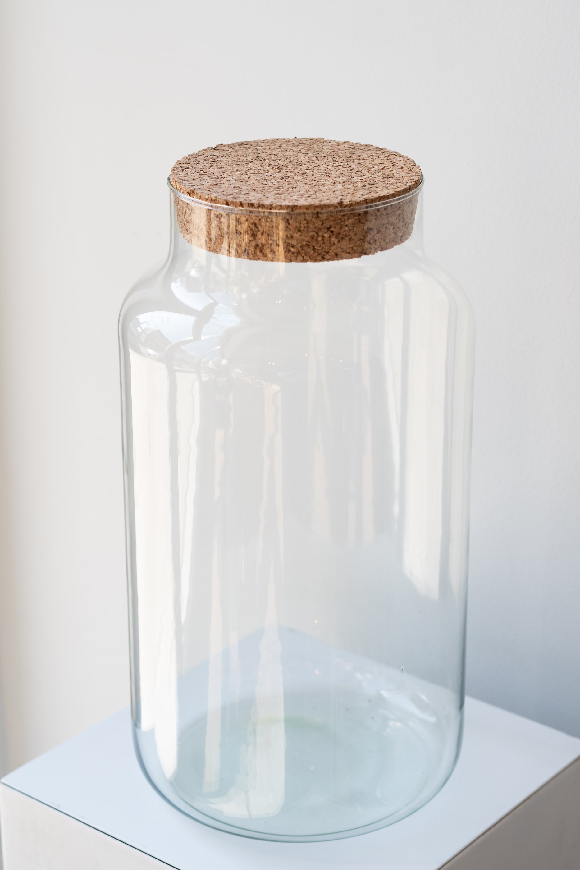 Chela Terrarium Vessel Large