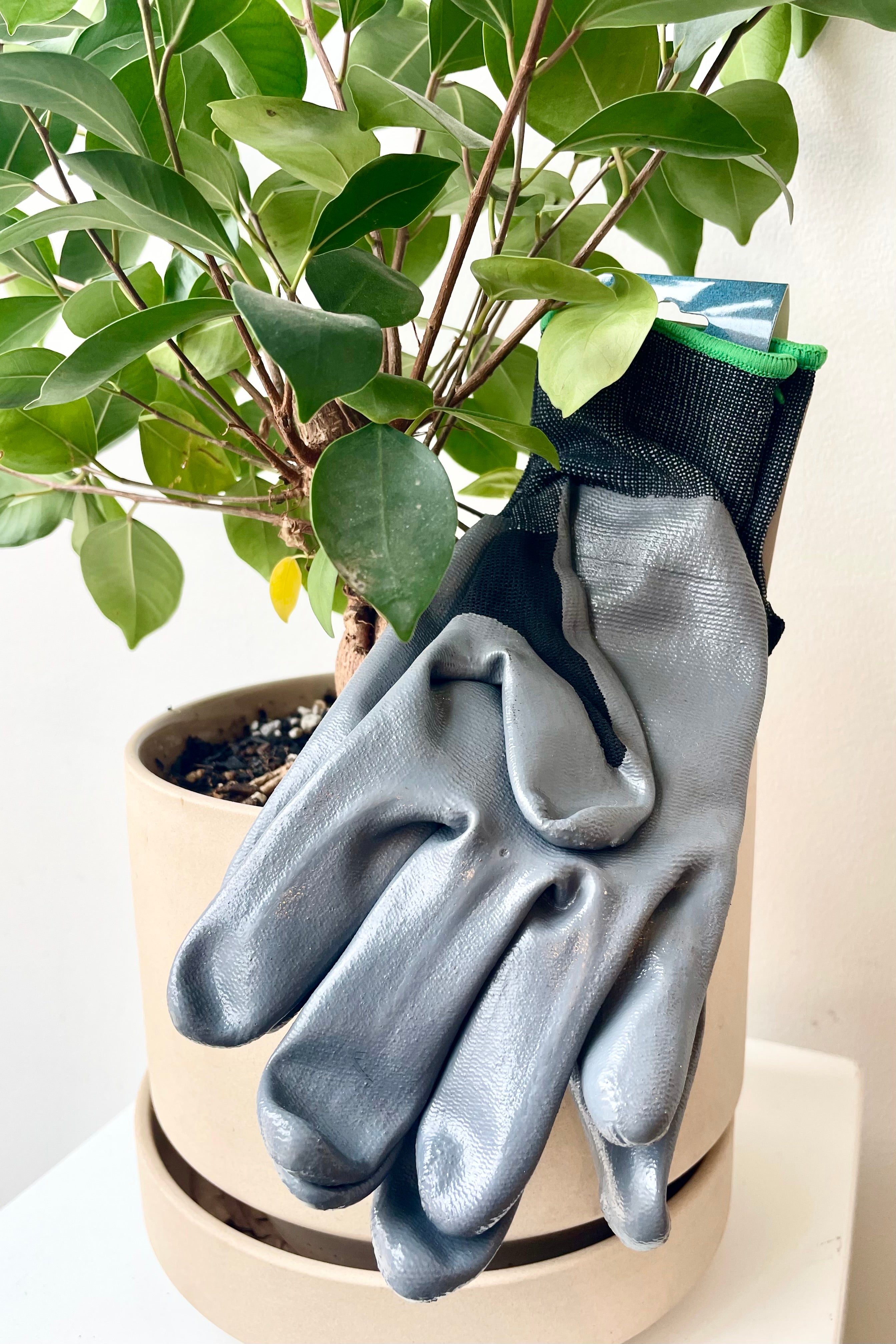 detail of the Nitrile Gloves Tough Black Medium against a white wall