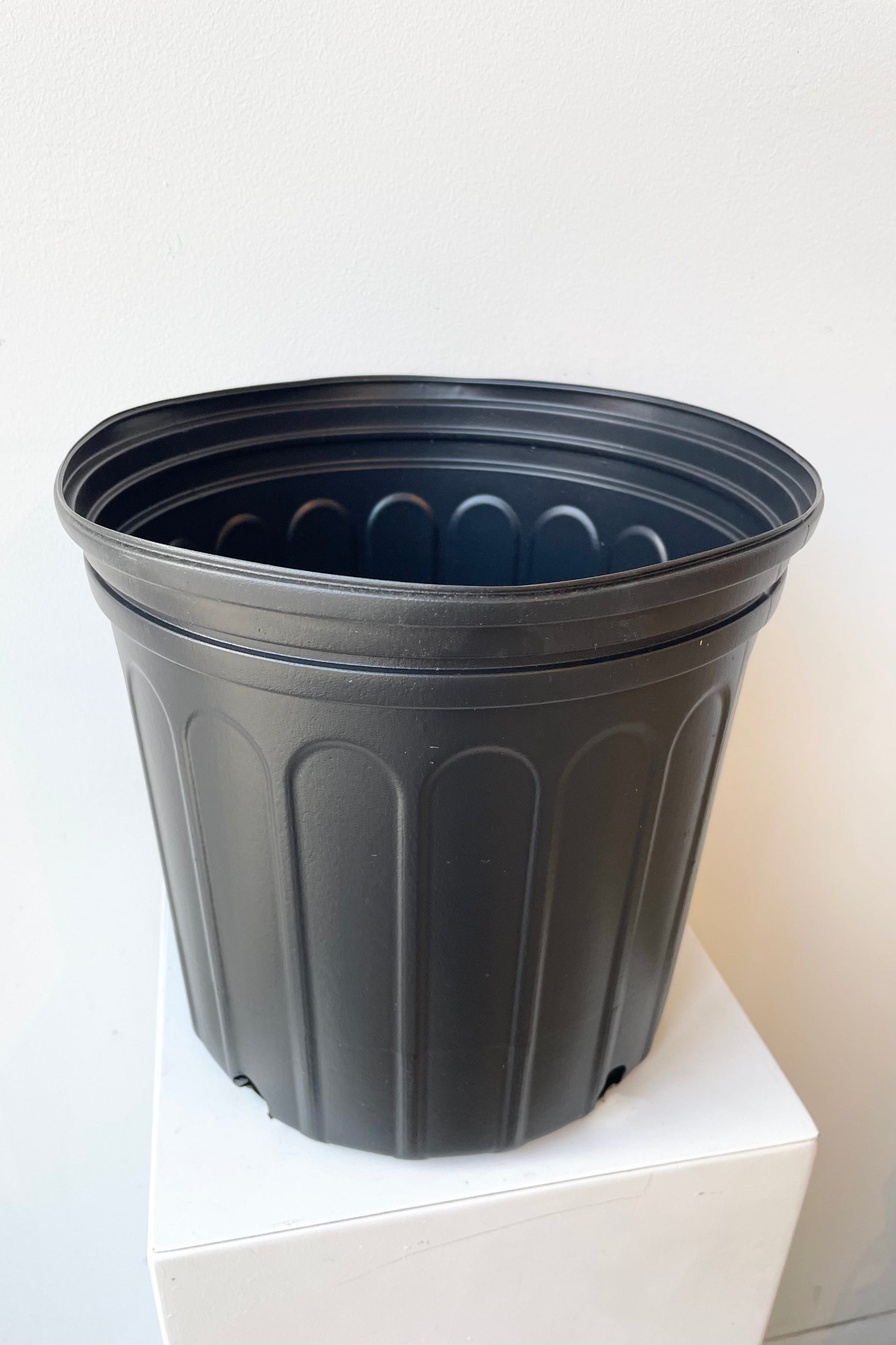 detail of the top of the Grow Pot 10" against a white wall ©Sprout Home