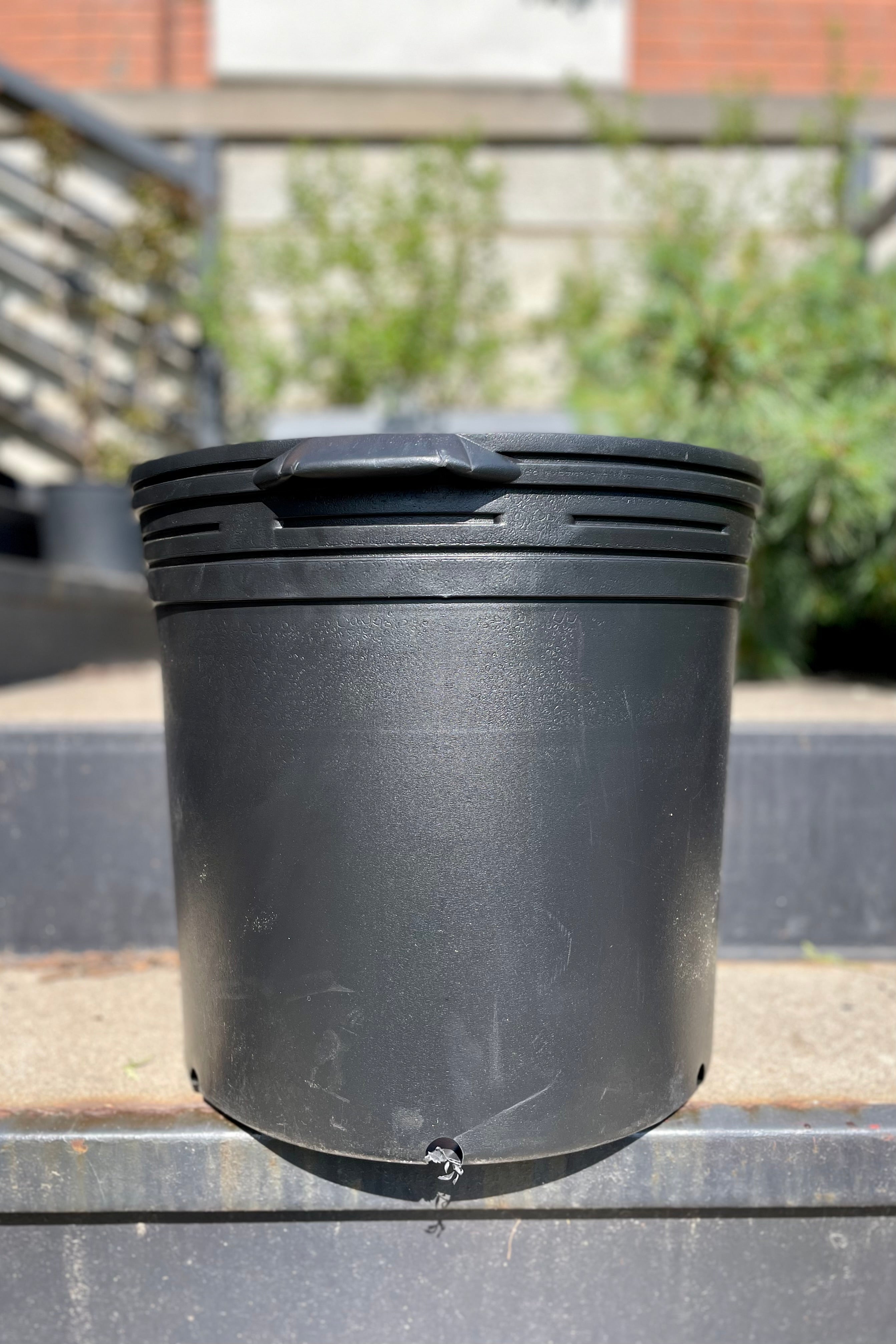 Grow Pot 14" against sprout home's garden