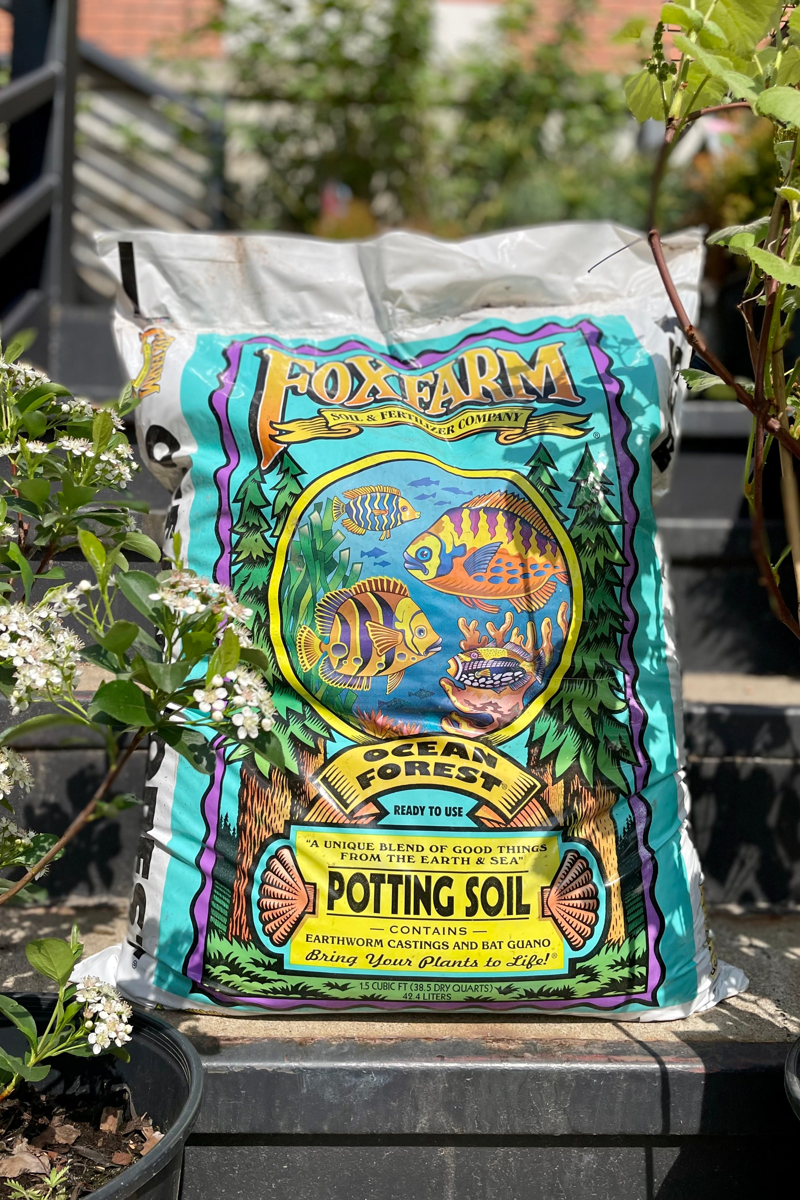 A 1.5 cubic foot bag of FoxFarm Ocean Forest potting soil showing the front graphic design on the bag in the Sprout Home yard with some plants surrounding