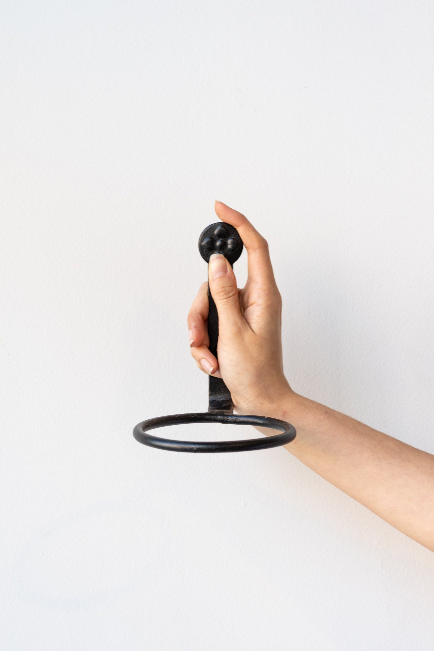 A hand holding a small, circular, wall-mounted flowerpot ring. ©Sprout Home