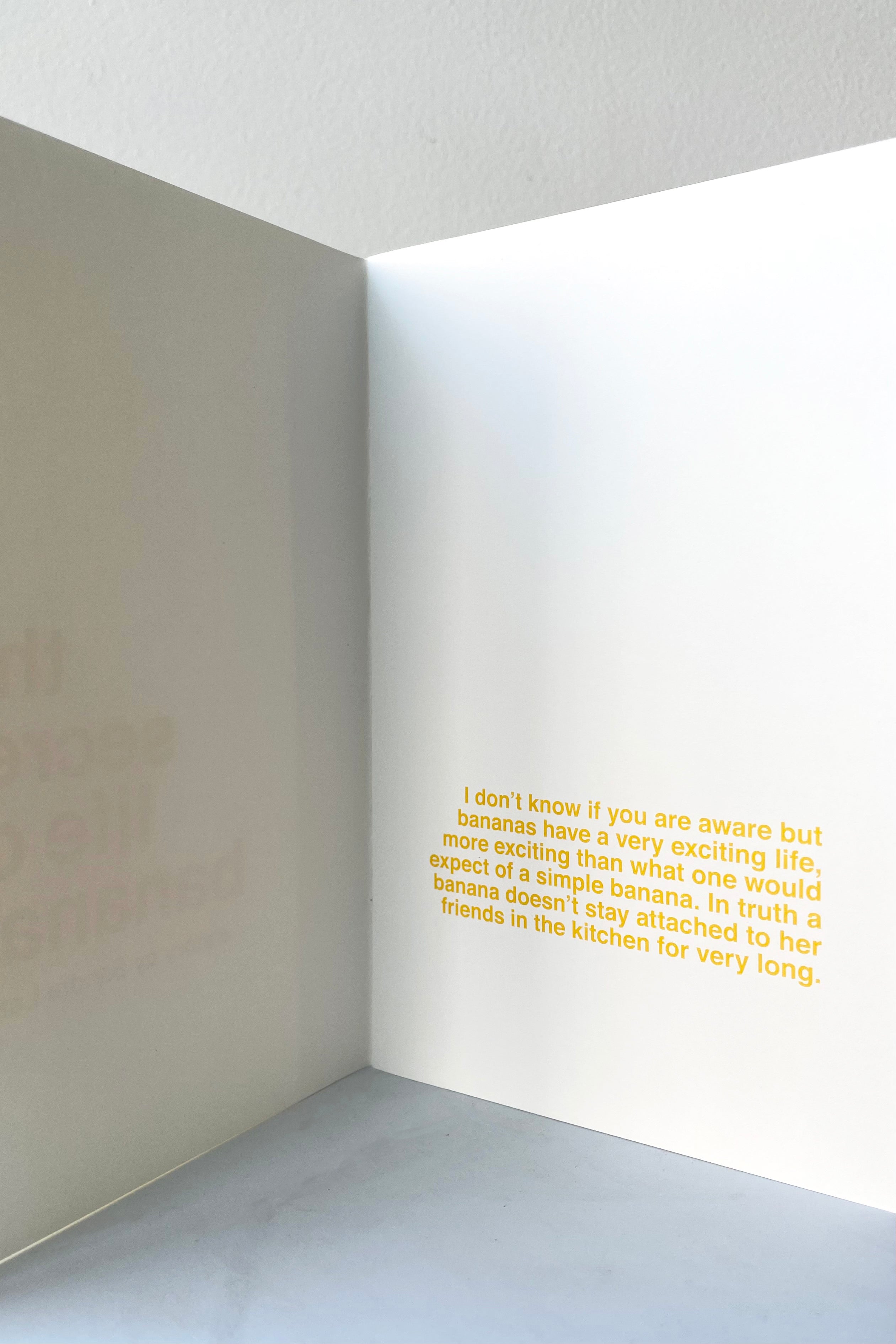 A view of the first story page of The Secret Life of Bananas - Book to Illustrate against a white backdrop