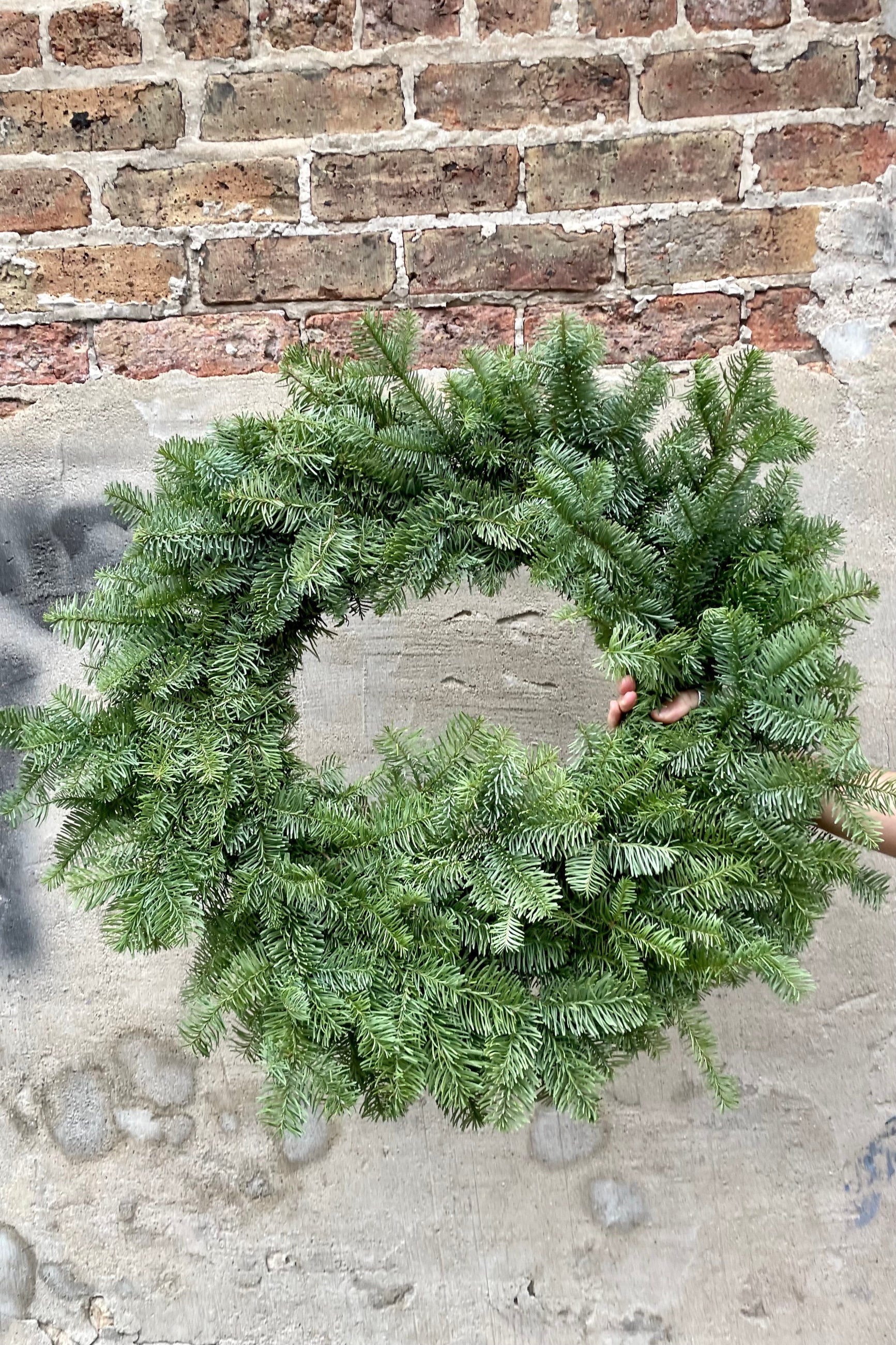 Wreath made from noble fir evergreen being held against a concrete and brick wall. ©Sprout Home