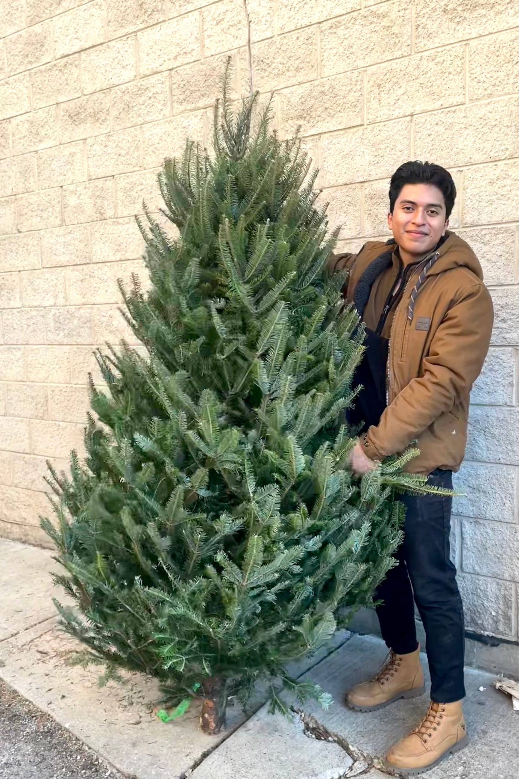 A man holds a variation of Fraser #1 Premium 6–7' Christmas tree ©Sprout Home