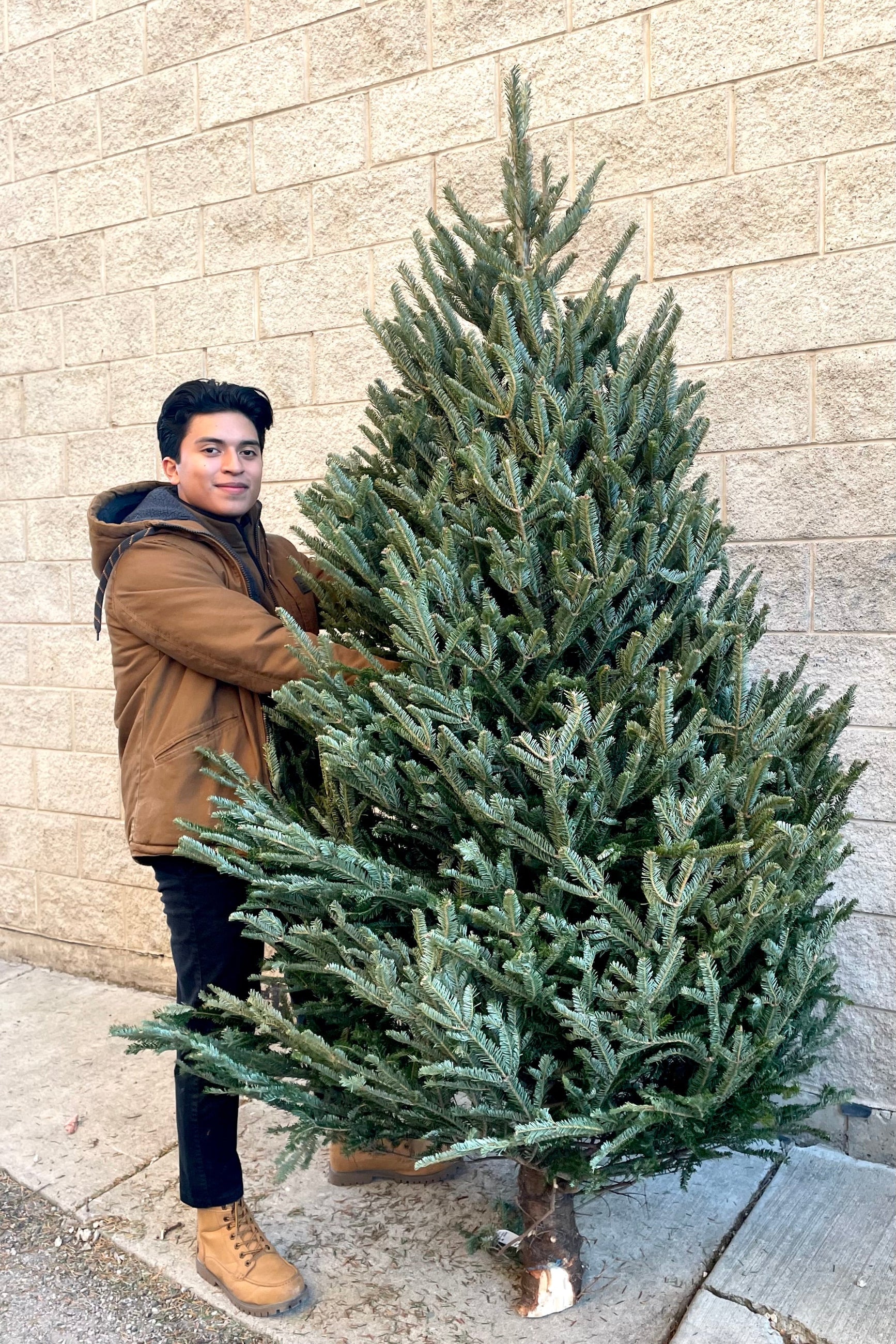 A man holds a variation of Fraser #1 Premium 8–9' Christmas tree ©Sprout Home