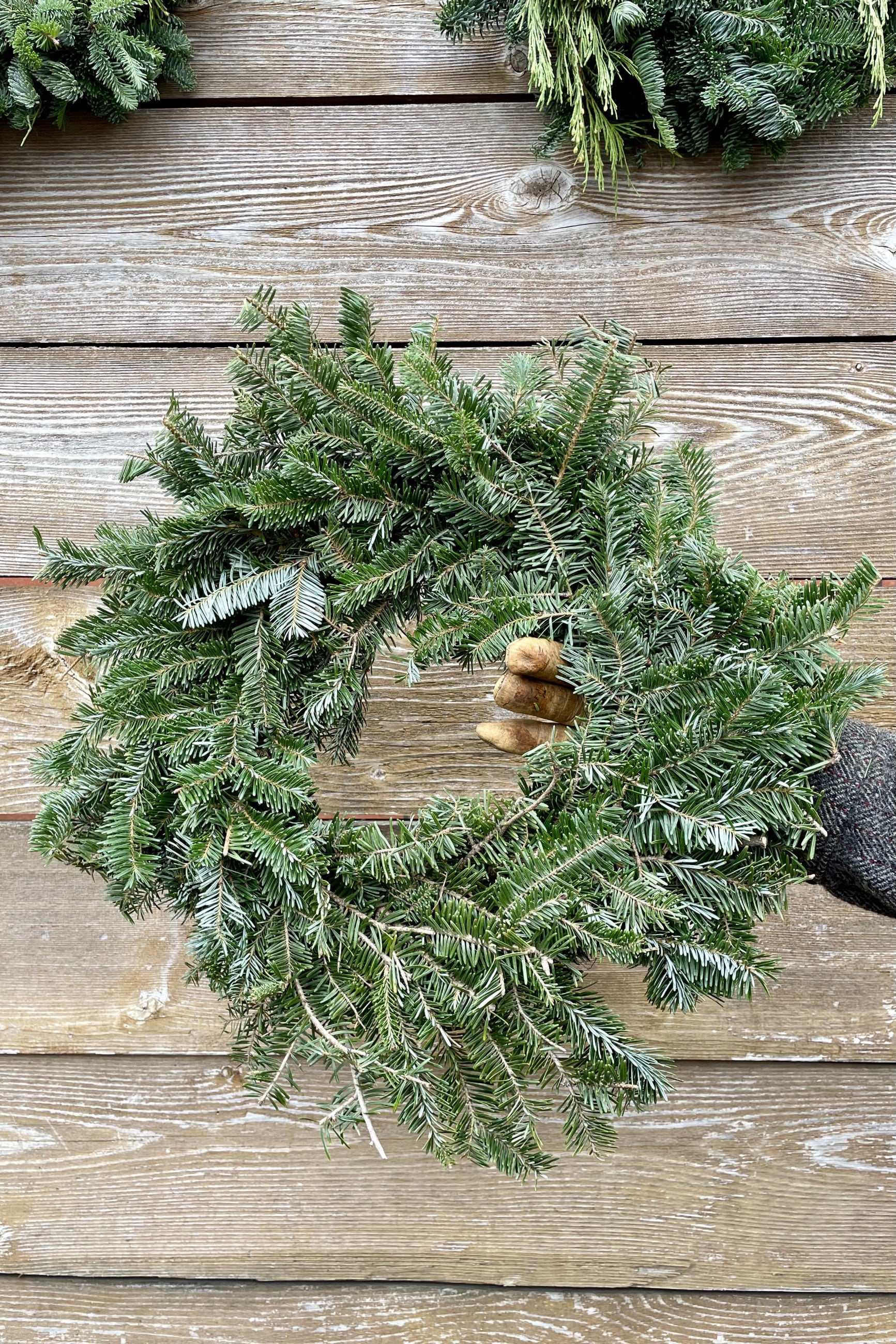 20" Fraser Fir Wreath single sided being held against a wood fence at Sprout Home. ©Sprout Home
