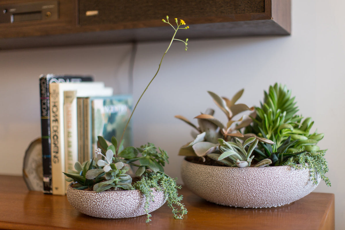 planter large indoor Flora 12
