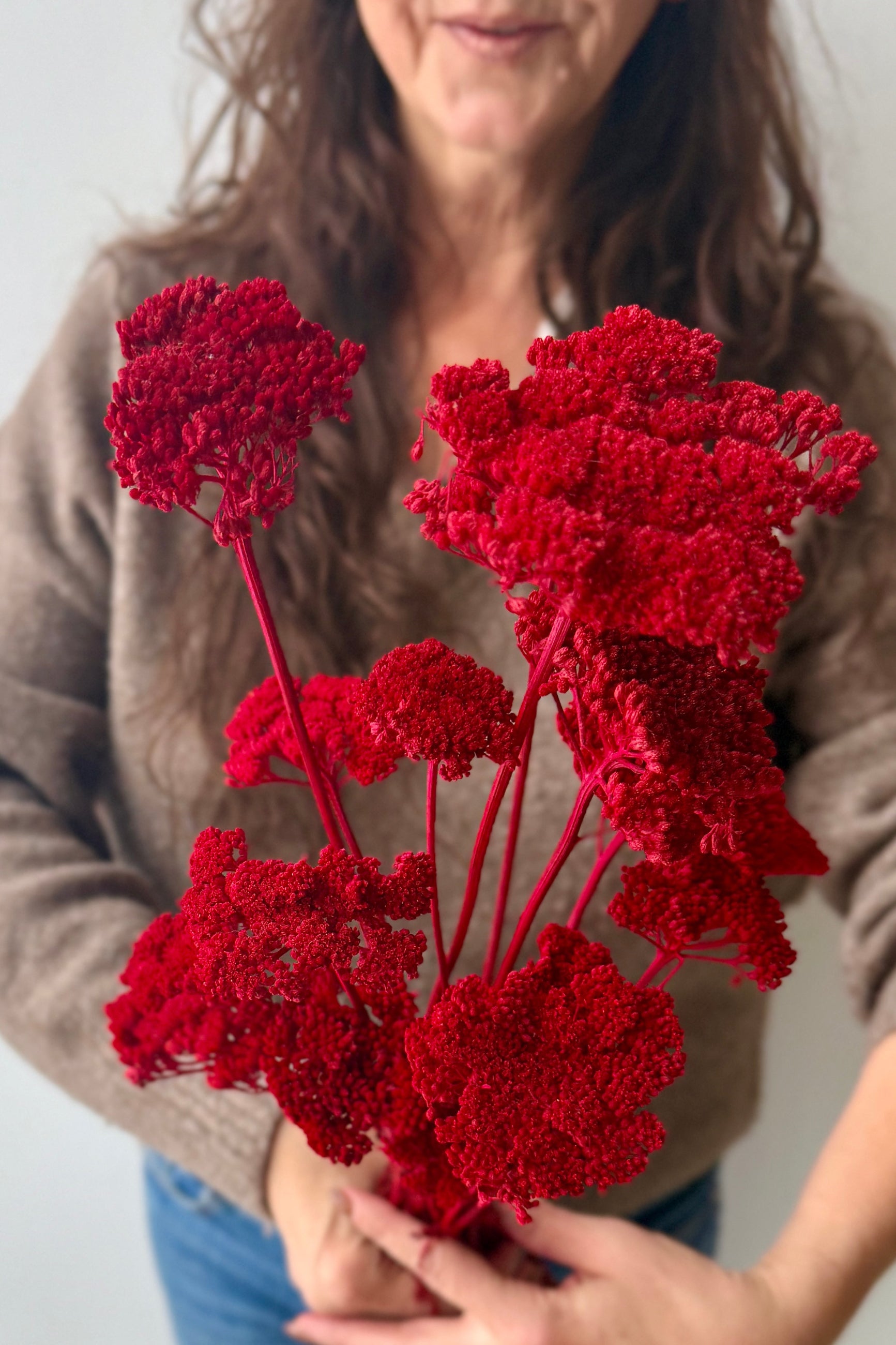Person holding a bouquet of red preserved achillea flowers against a neutral background ©Sprout Home