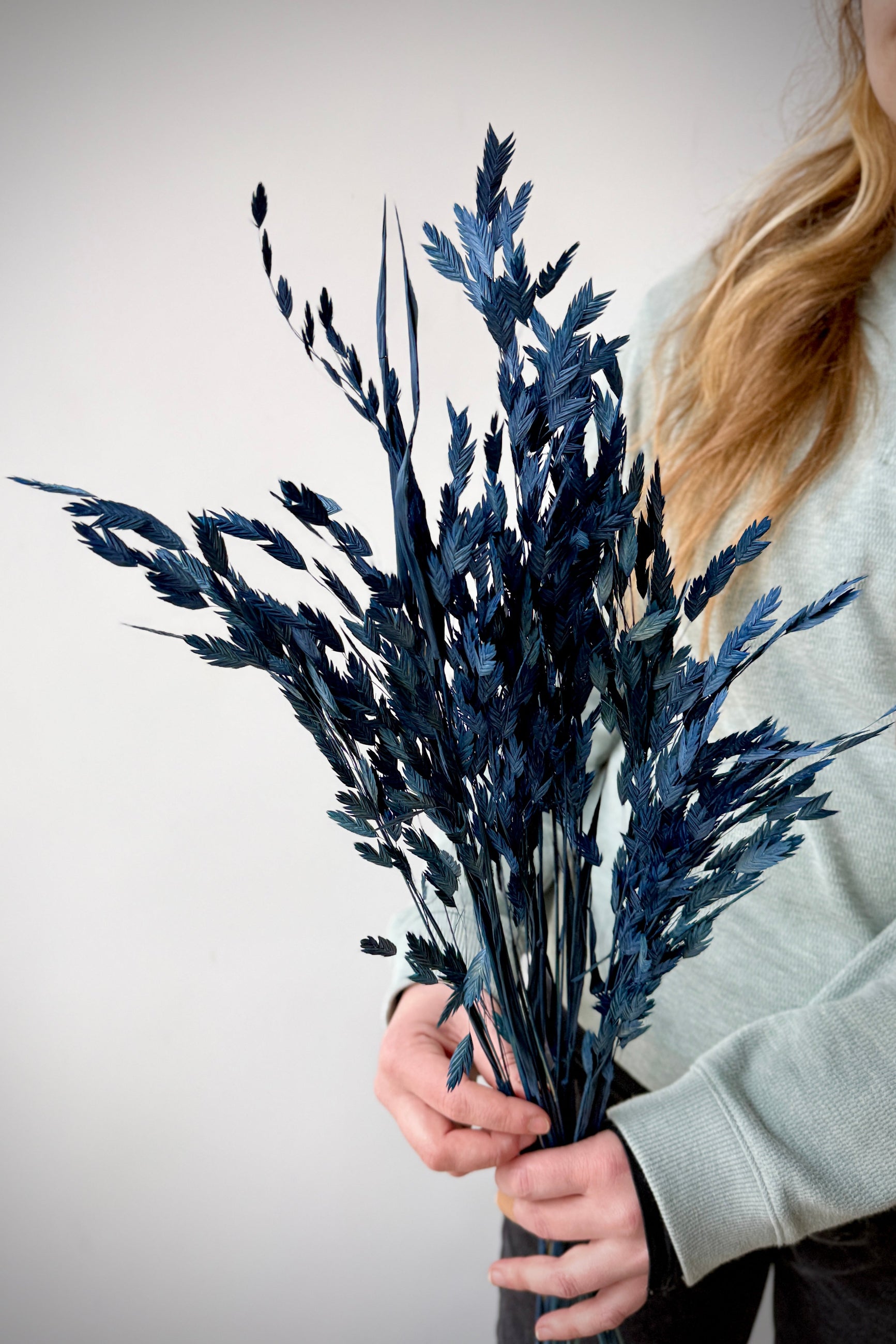 Person holding a bouquet of dark blue dried Chasmanthium grass against a plain background ©Sprout Home