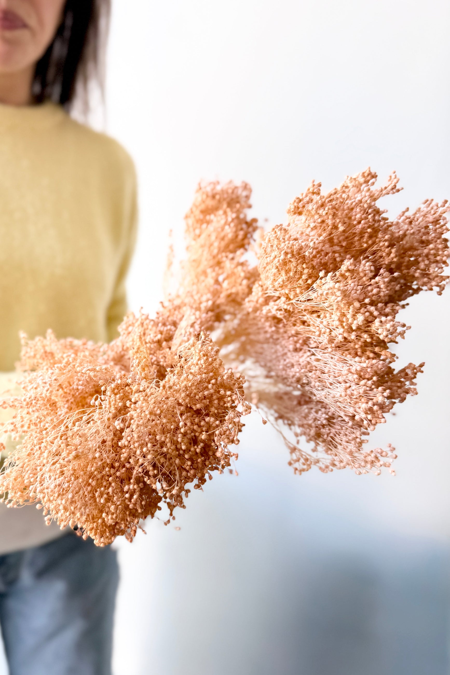 Person holding a bouquet of Brooms Light Peach Pastel Preserved against a blurred background ©Sprout Home