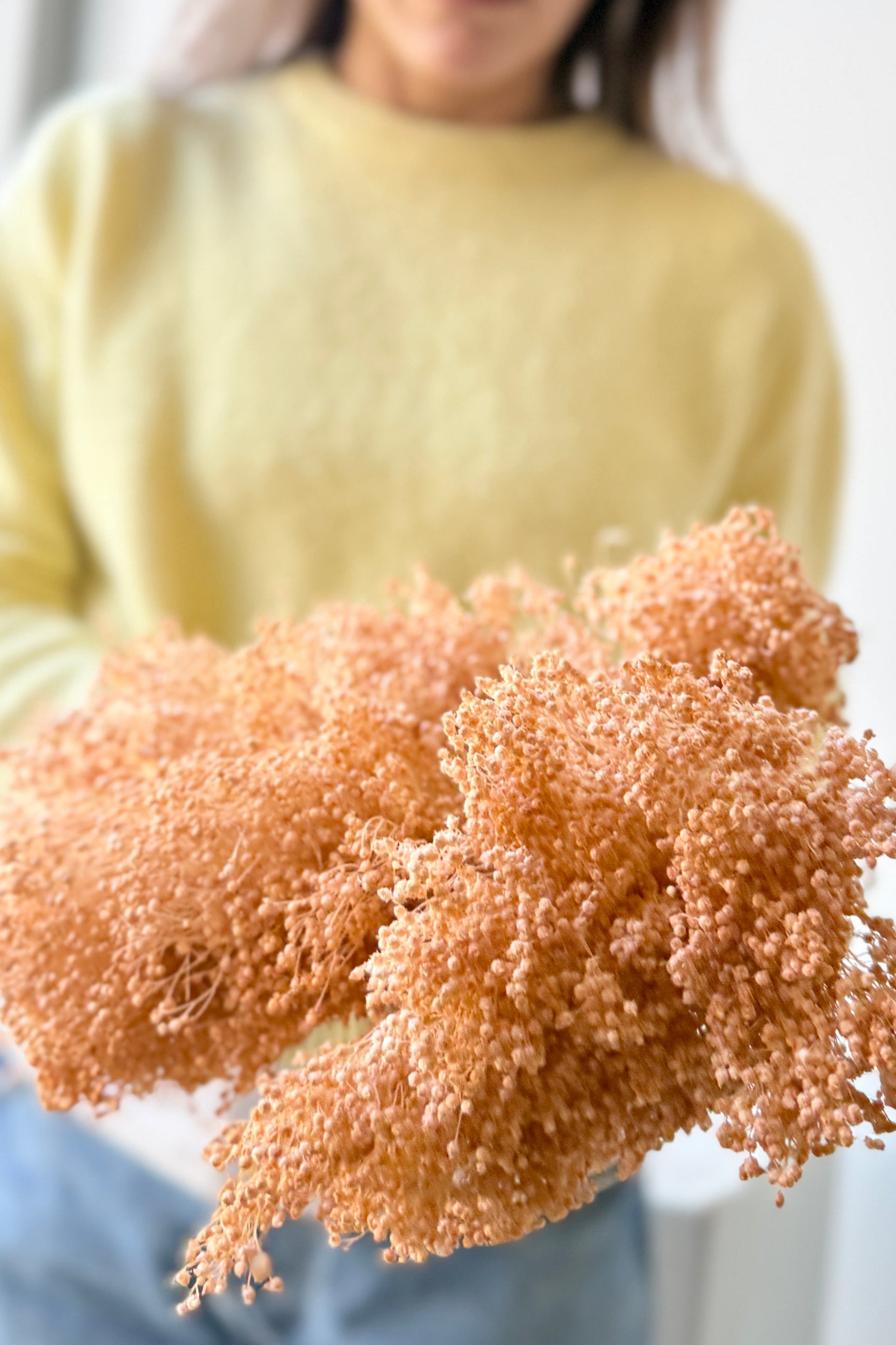 Person holding a Brooms Light Peach Pastel Preserved Bunch with a blurred background ©Sprout Home
