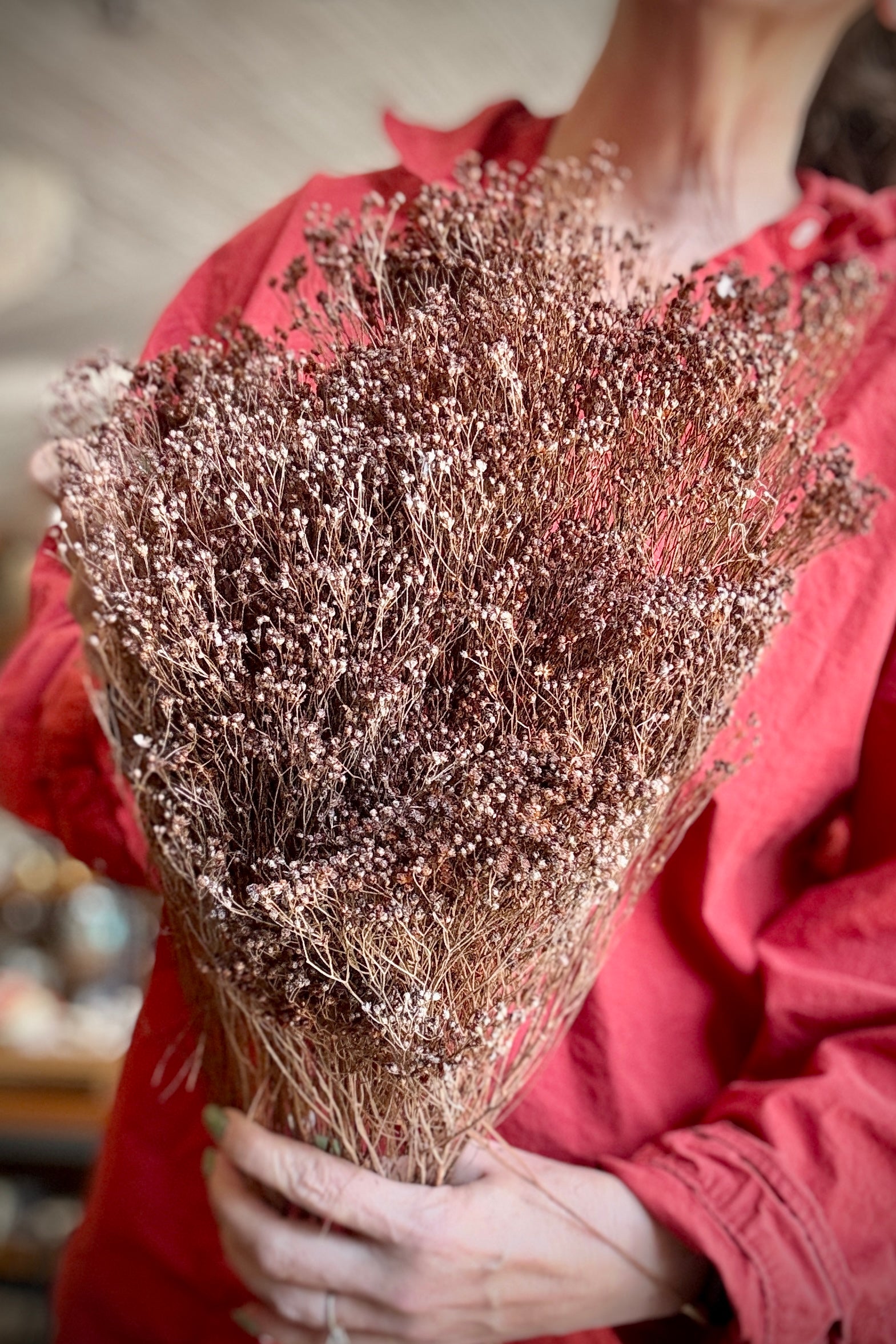 Person holding a Brooms Dusty Rust Color Preserved Bunch against a blurred background ©Sprout Home