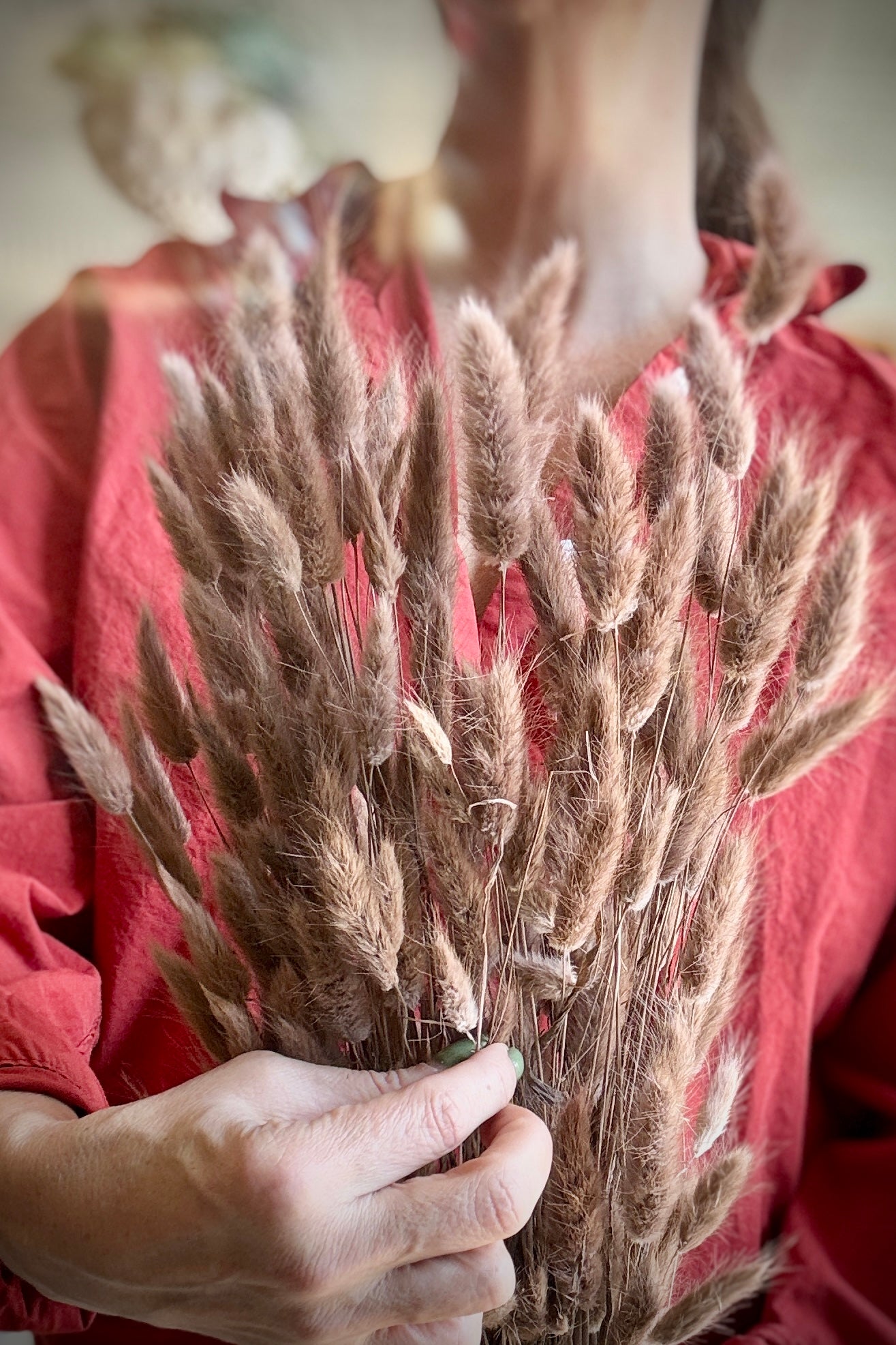 Person holding a bundle of Lagurus Sepia Pastel Preserved against a blurred background ©Sprout Home