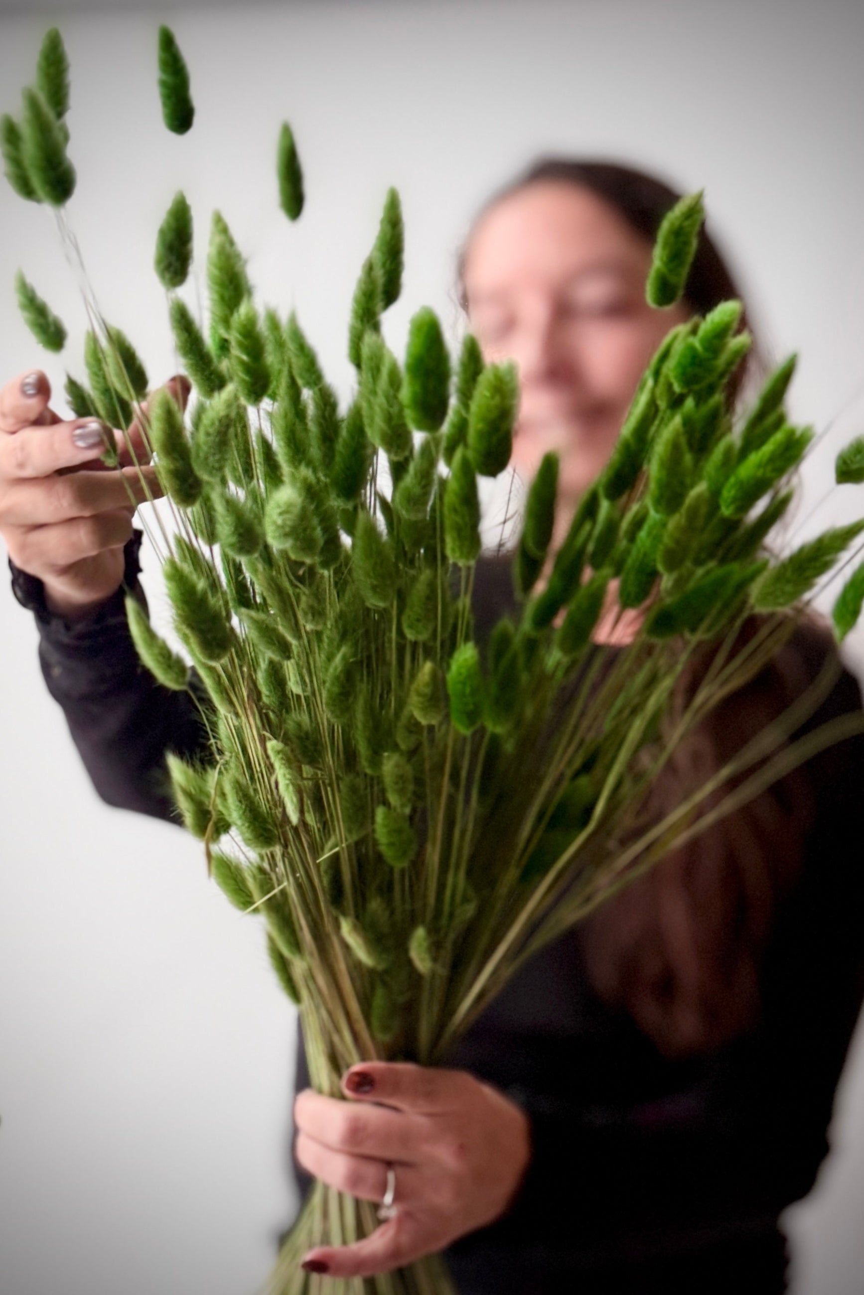 Person holding a bouquet of green lagurus stems against a plain background ©Sprout Home